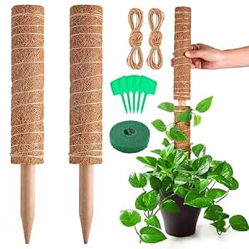 飾り台　支柱 81JySsKukML._UF350,350_QL50_.jpg