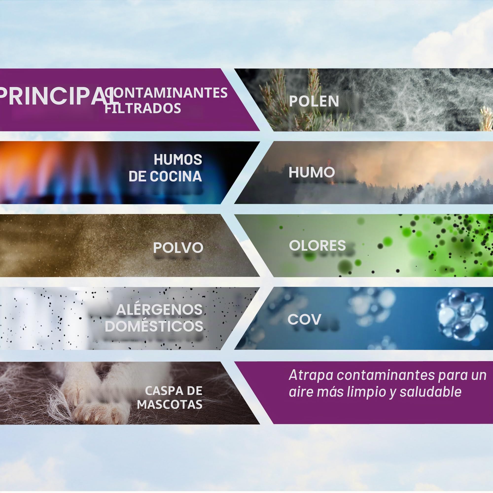 WINIX Filtro H para purificador de aire WINIX ZERO S y WINIX 2020EU