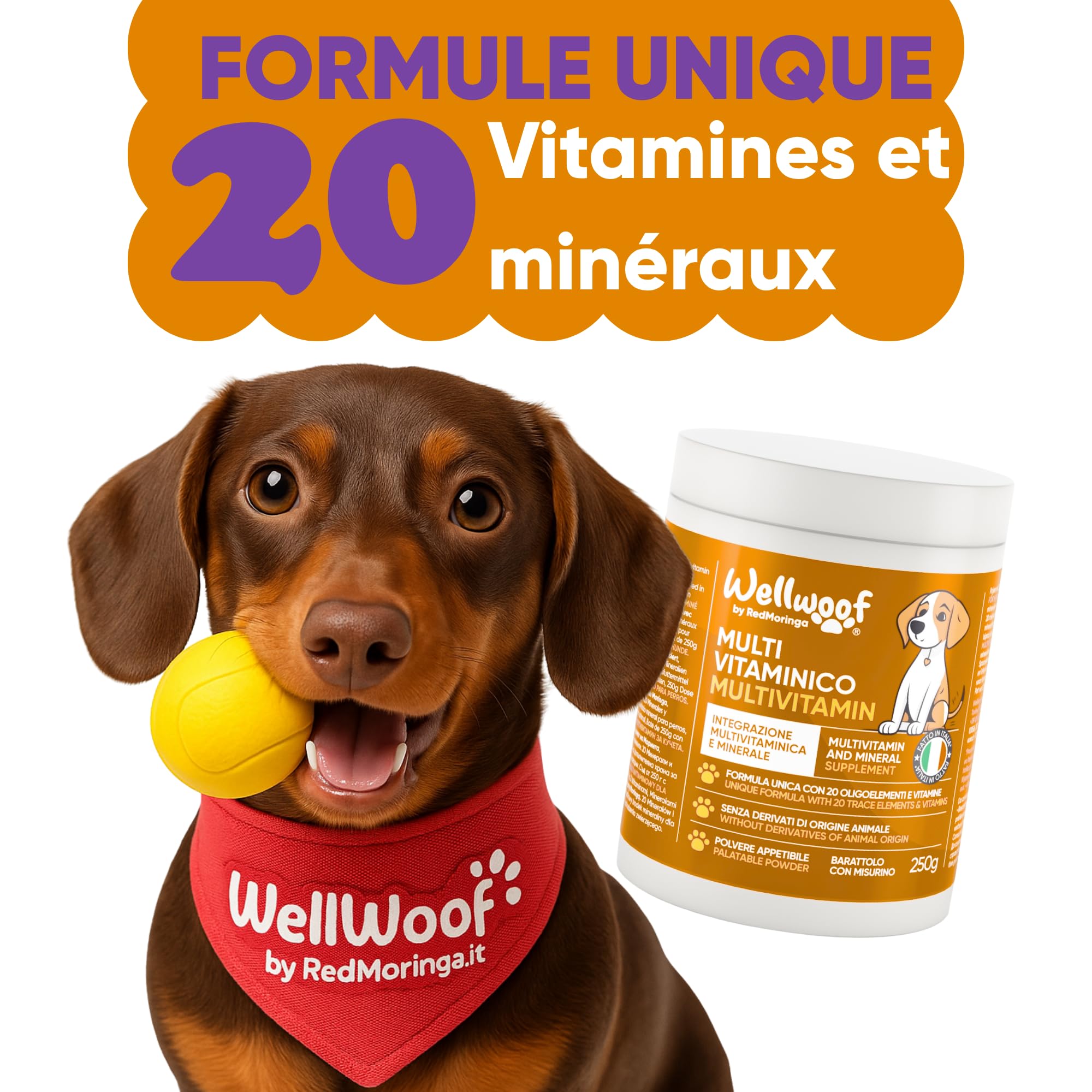 Complément Multivitaminé Complet 11 en 1 | Poudre pour Chiens (250g) | 20 Vitamines et Minéraux & Moringa Bio | sans Appétents Animaux | Idéal pour Régime Maison | Fabriqué en Italie - WELLFOOF