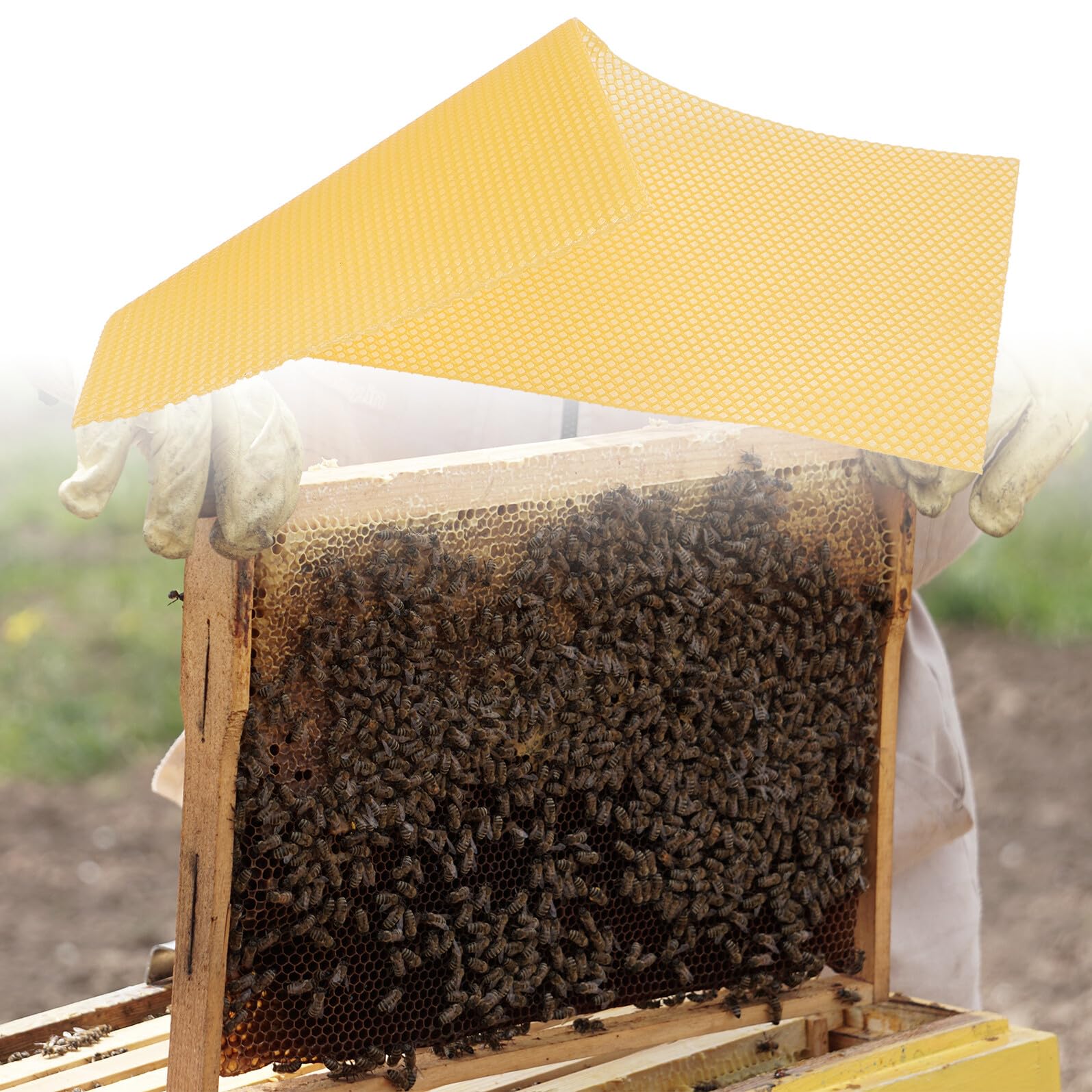 ORFOFE 30 Piezas de Base de Colmena de Cera de Abeja Amarilla Reutilizable para Proyectos DIY y Suministros para Colmenas Alta Producción