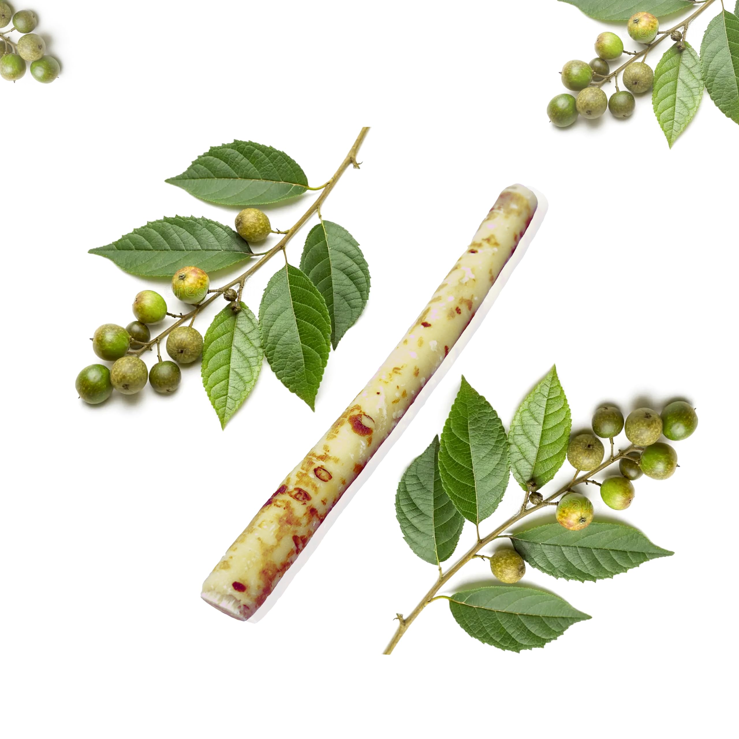 Natural Teeth Cleaning Stick Traditional Herbal Toothbrush Pack of 10
