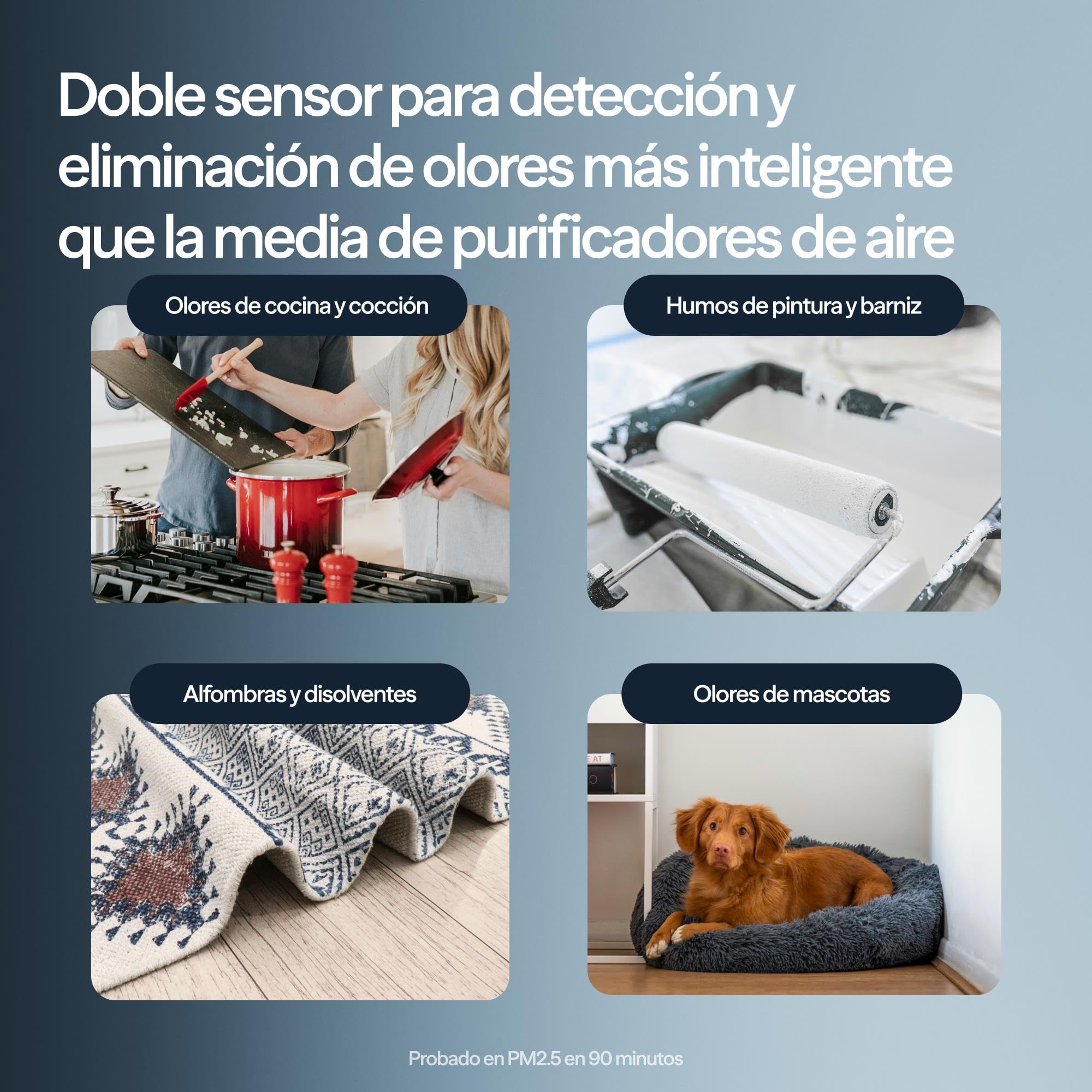 BLUEAIR Blue Signature Medium Purificador de Aire – Purificación inteligente ultrasilenciosa para interiores amplios de hasta 86m² | Tecnología avanzada HEPASilent