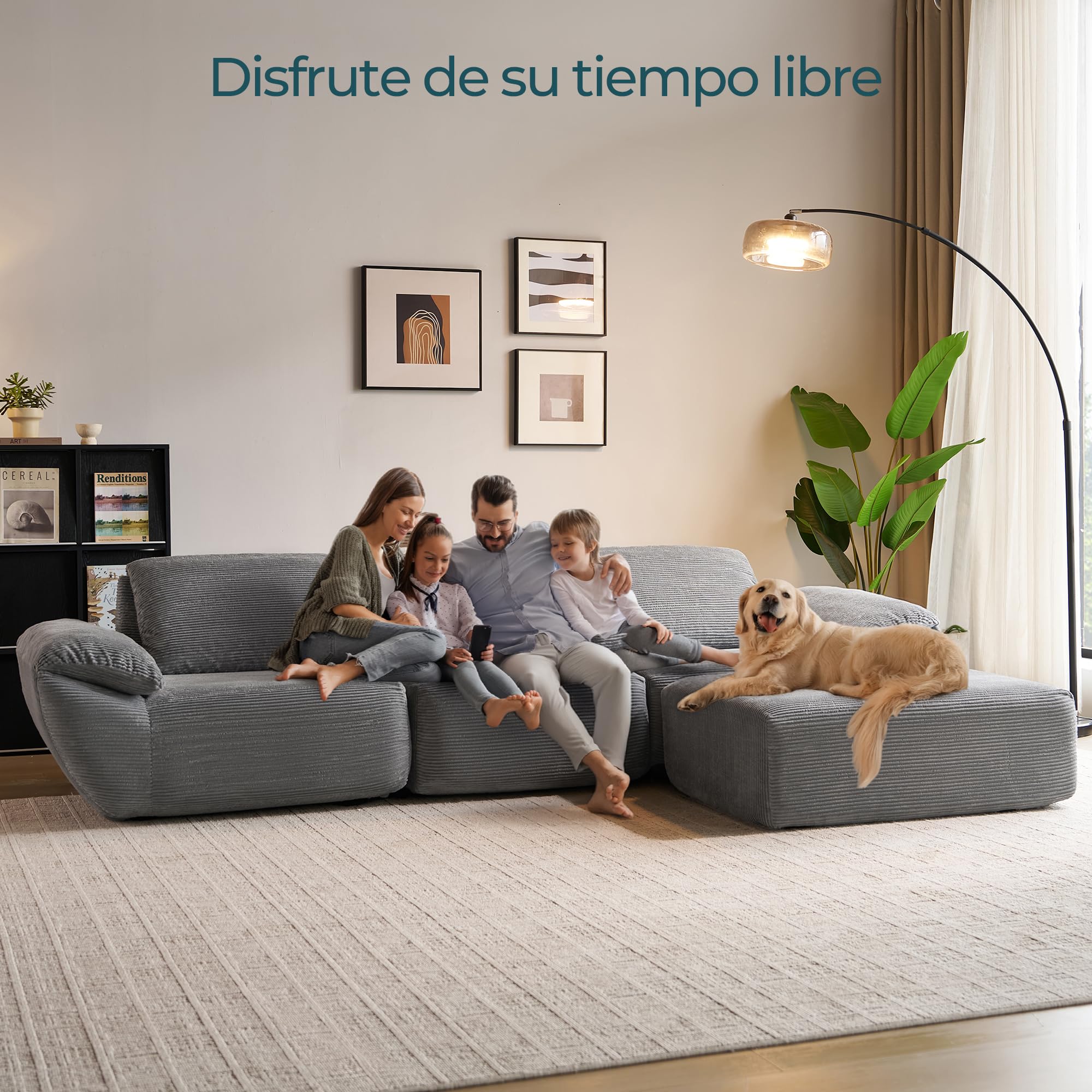 LINSY Home Sofá Cama esquinero con función de sueño, 290 cm, Modular, en Forma de L, Incluye otomana, salón, Noches de televisión o para Pasar la Noche de Invitados (Gris)