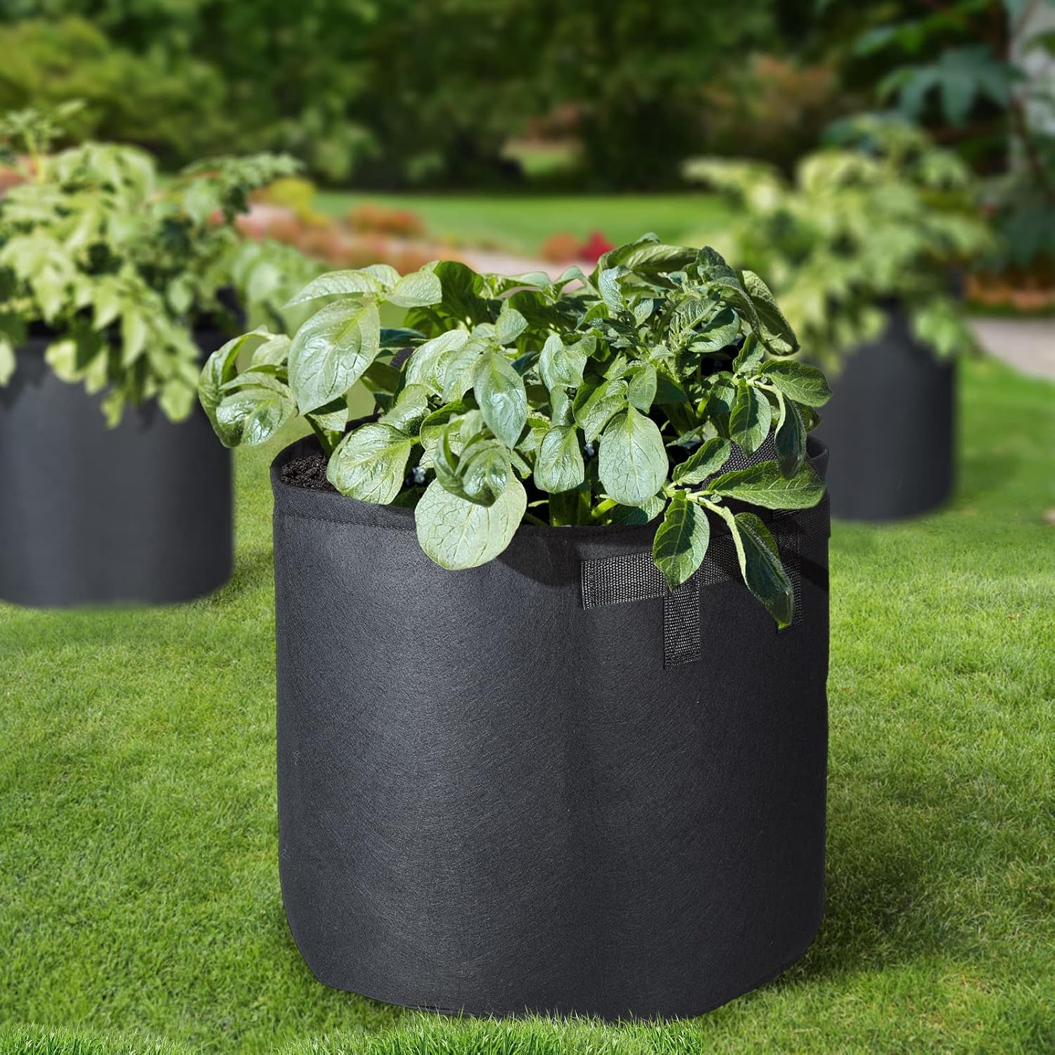 6-Pack 12 Gallon Grow Bags, 300G Thickened Nonwoven Plant Fabric Pots with Reinforced Handles for Garden Indoor Outdoor