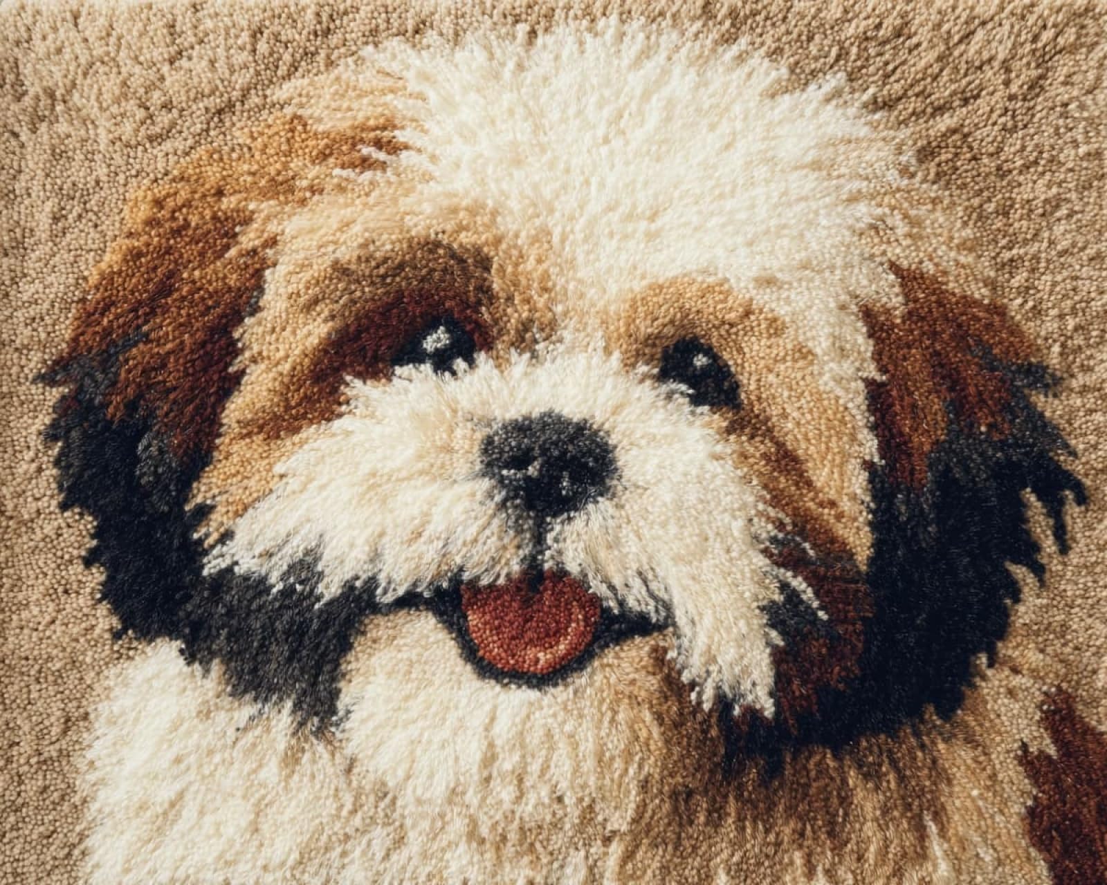 Wallphantom Latch Hook Kits for Adults Rug,Happy Shih Tzu,Latch Hook Kits DIY Crochet Handcraft Rug Hooking Kit for Kids and Adults,55x75cm