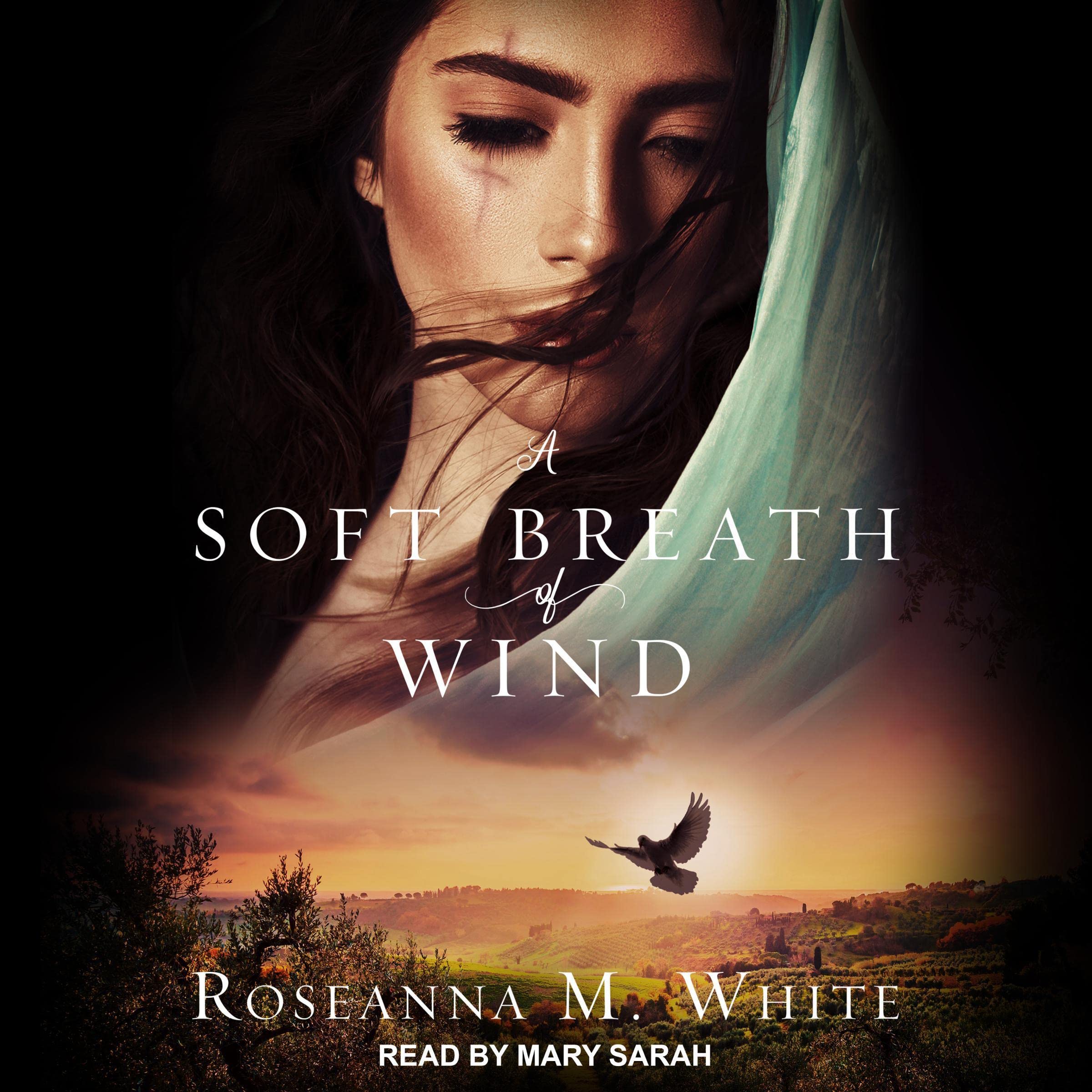 Cover art for A Soft Breath of Wind