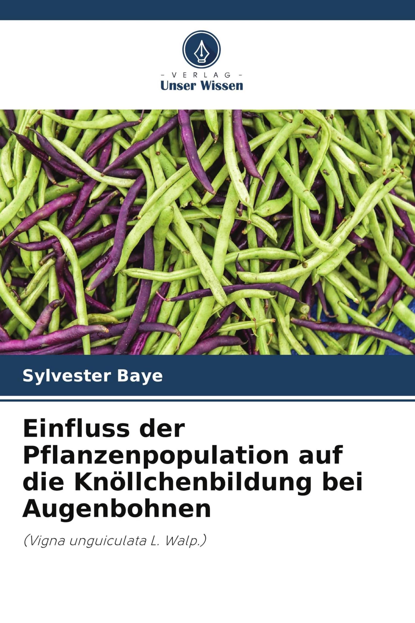 Einfluss der Pflanzenpopulation auf die Knöllchenbildung bei Augenbohnen: (Vigna unguiculata L. Walp.)