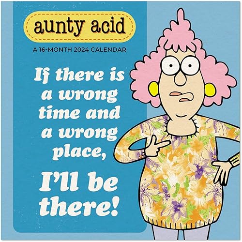 2024 Aunty Acid Monthly Wall Calendar, 12" x 12" (DDW1702824)