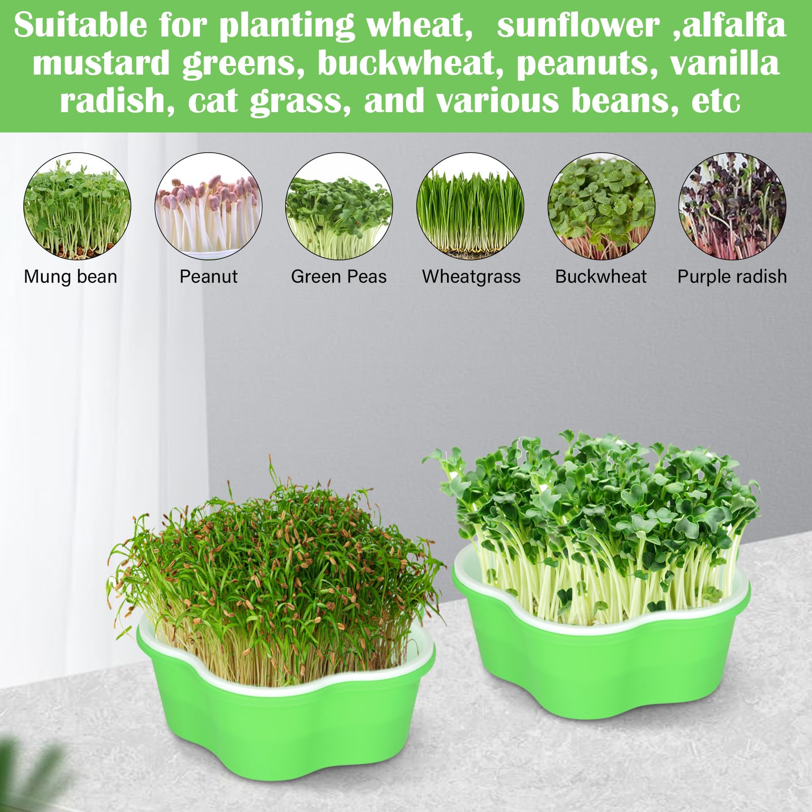 Juego de 4 bandejas para brotes, torre de brotes, bandeja de cultivo para semillas grandes, bandeja de germinación, verde, medio, casual, redondo, interior