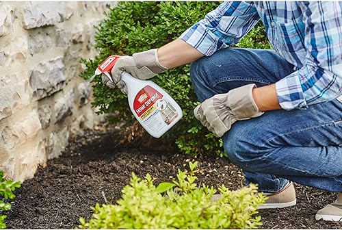 Miniatura 3 de Spray matainsectos Ortho 0 Home Defense MAX para uso en interiores y el perímetro del hogar