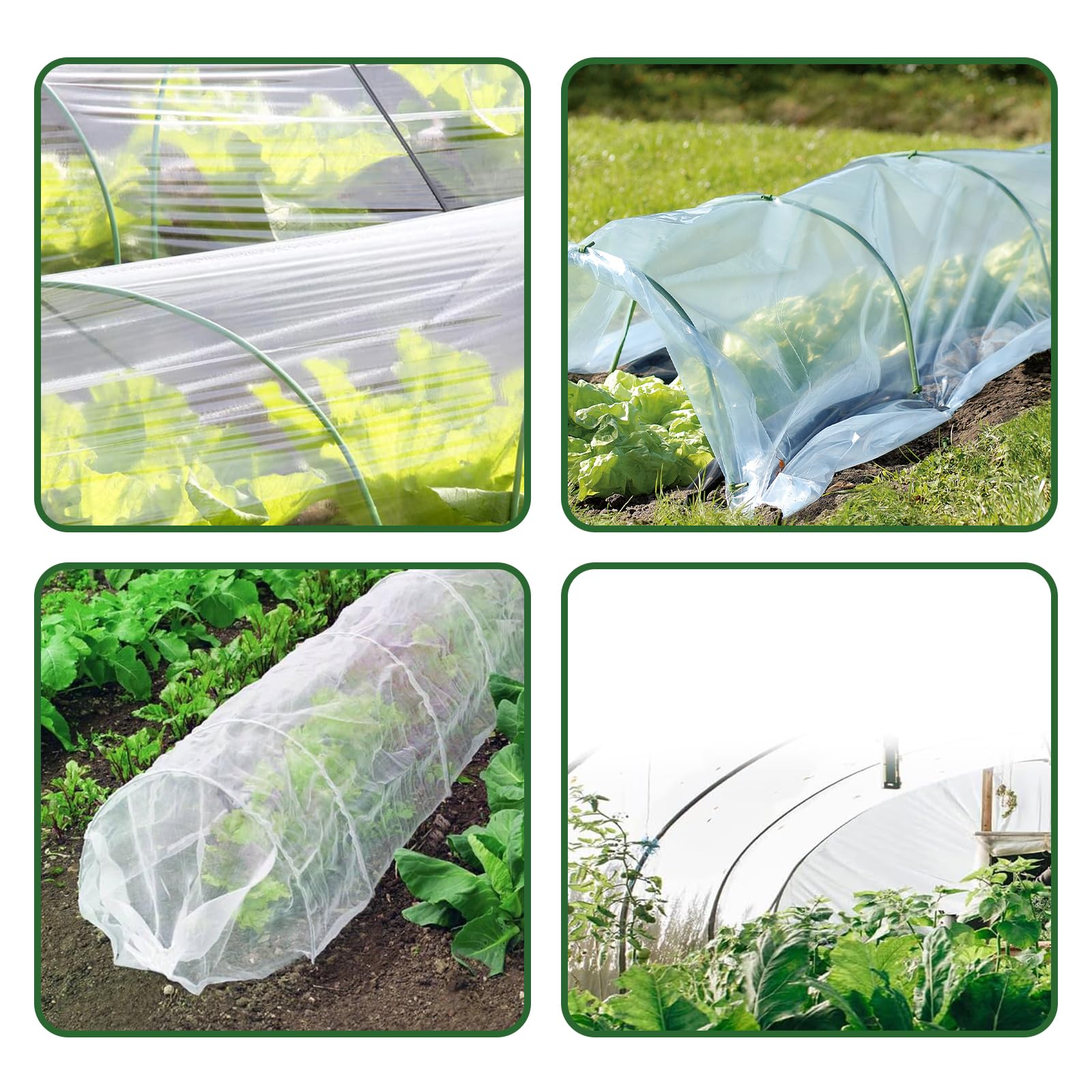 Film Transparente para Invernaderos, Film Transparente 2 x 10 m, Film de Invernadero Resistente al Desgarro, Film Hortícola de Polietileno, Film de Plástico, para Cubrir Verduras y Plantas