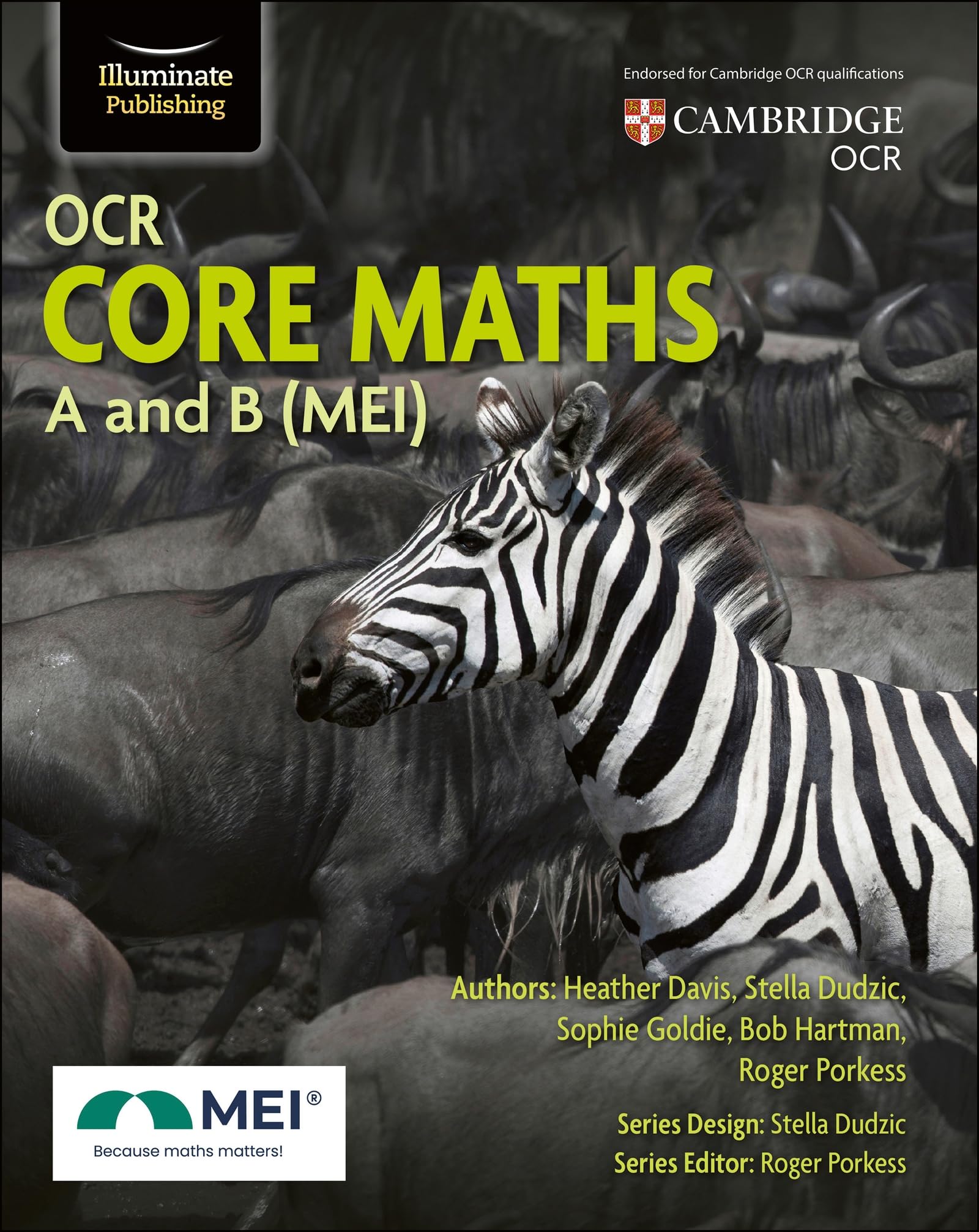 OCR Core Maths A and B (MEI) by Heather Davis Paperback Book