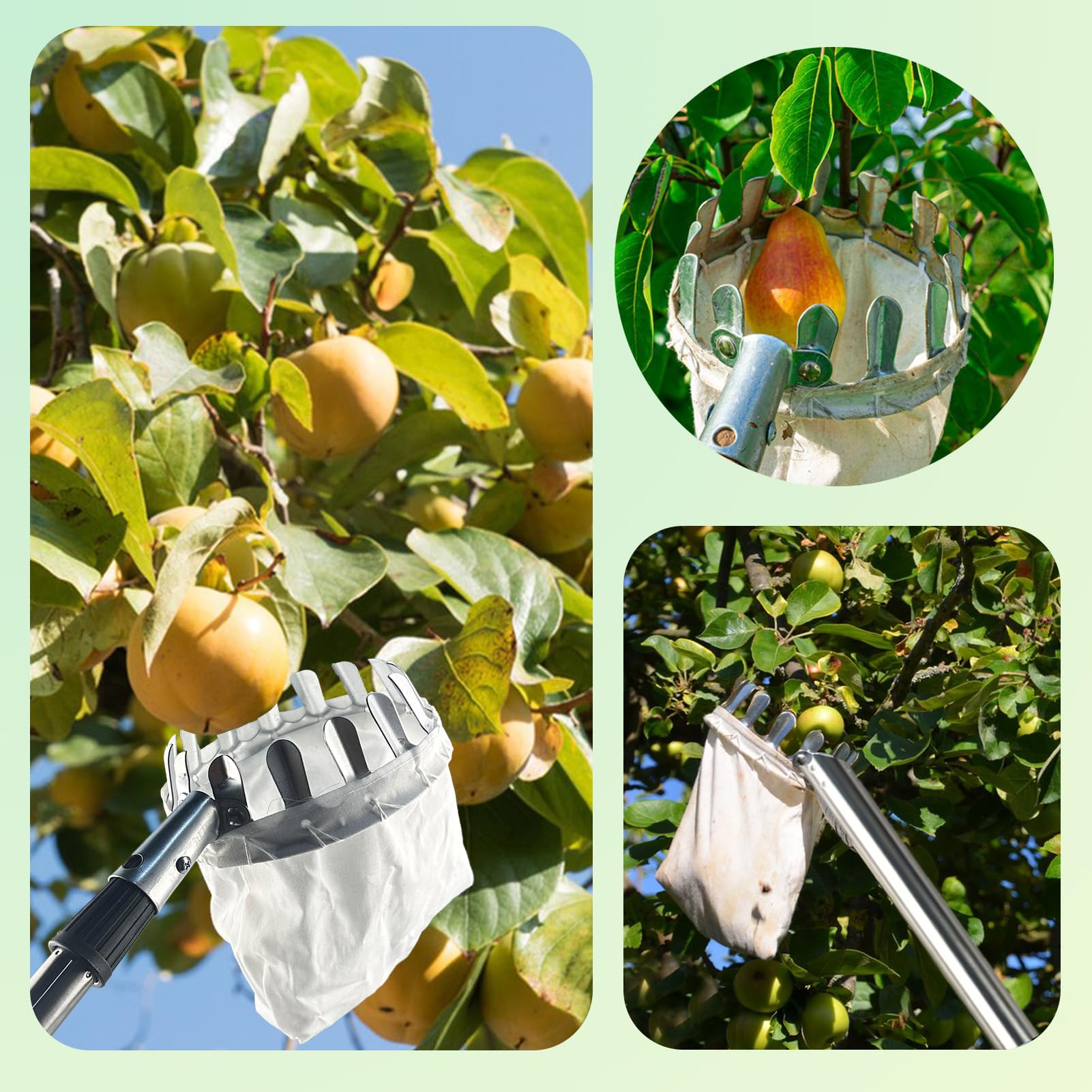 Raccogli Frutta Telescopico 2.2m Raccoglifrutta Raccogli Frutta con Manico Telescopico per Raccogliere Mele Ciliegie Pere Pesche con Sacchetto di Cotone Ø16 cm.