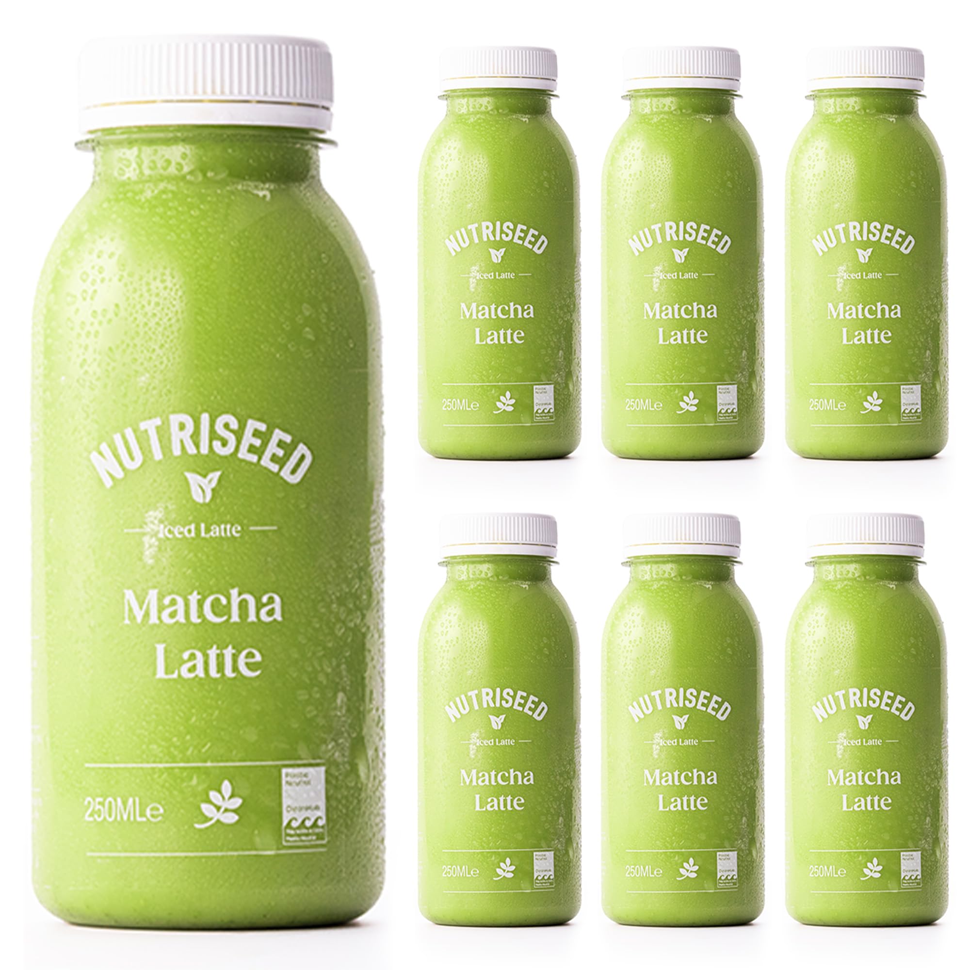Nutriseed Matcha Latte (6 x 250ml) - Containing Oat Milk, Matcha and Pure Sweet Agave, 100% Natural Ingredients, No Added Sugar, Vegan-Friendly & Dairy-Free
