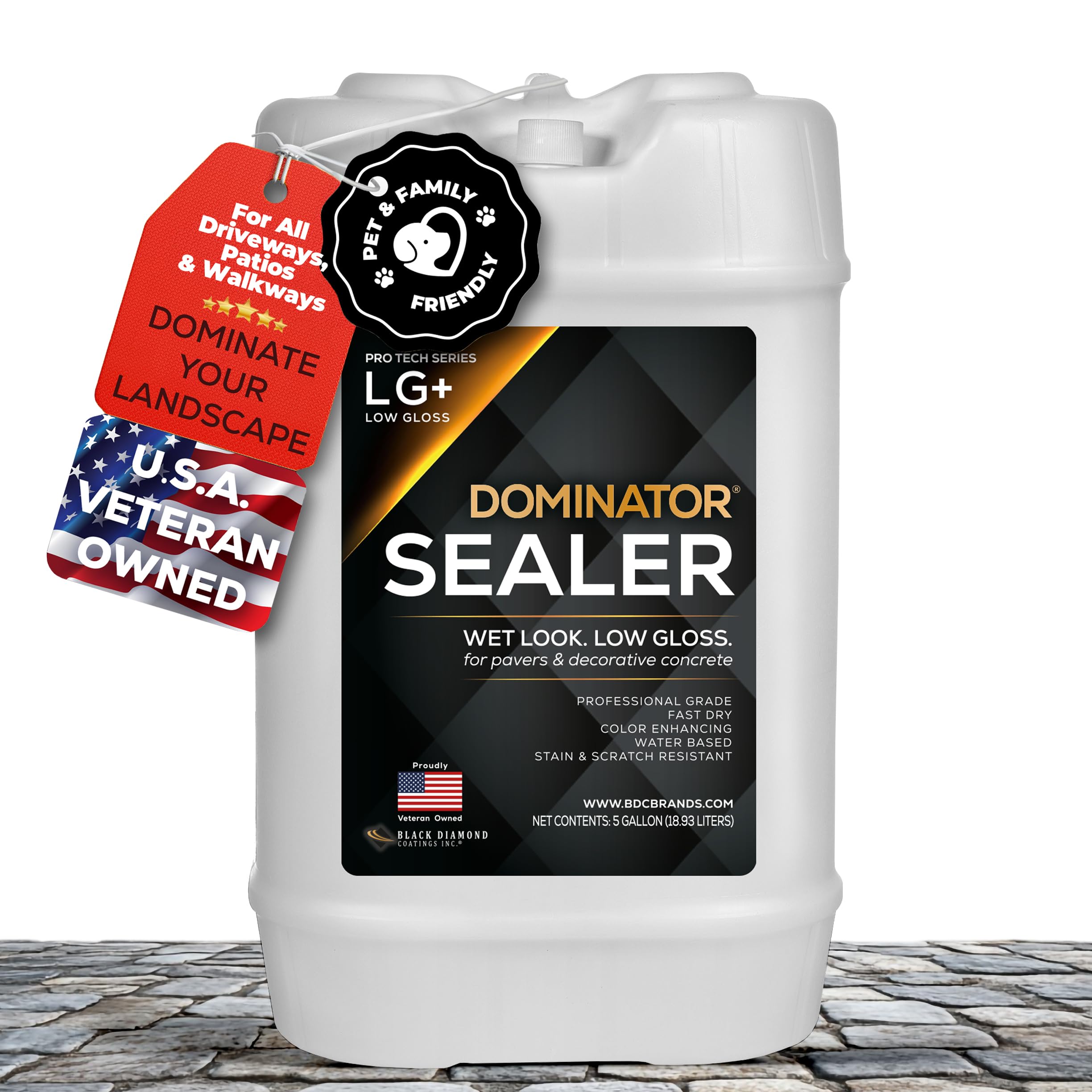 Dominator Lg Low Gloss Concrete And Paver Sealer 5 Gal | Desertcart INDIA