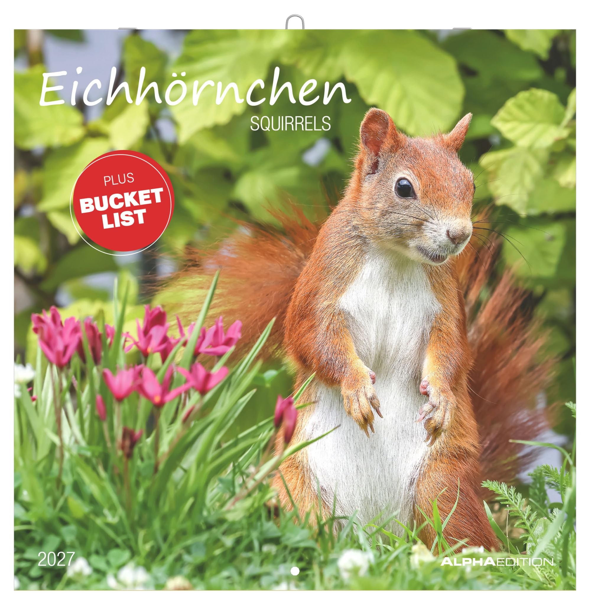 Eichhörnchen 2027: Wandkalender 30x30 cm (30x60 cm geöffnet) mit Notizkalendarium, 12 naturverbundenen Tiermotiven und Bucket-List