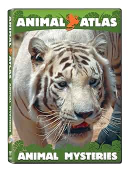 (未使用･未開封品)Animal Atlas: Animals &amp; Us [DVD] Amazon.com: Animal Atlas: Animals and Us : Movies & TV