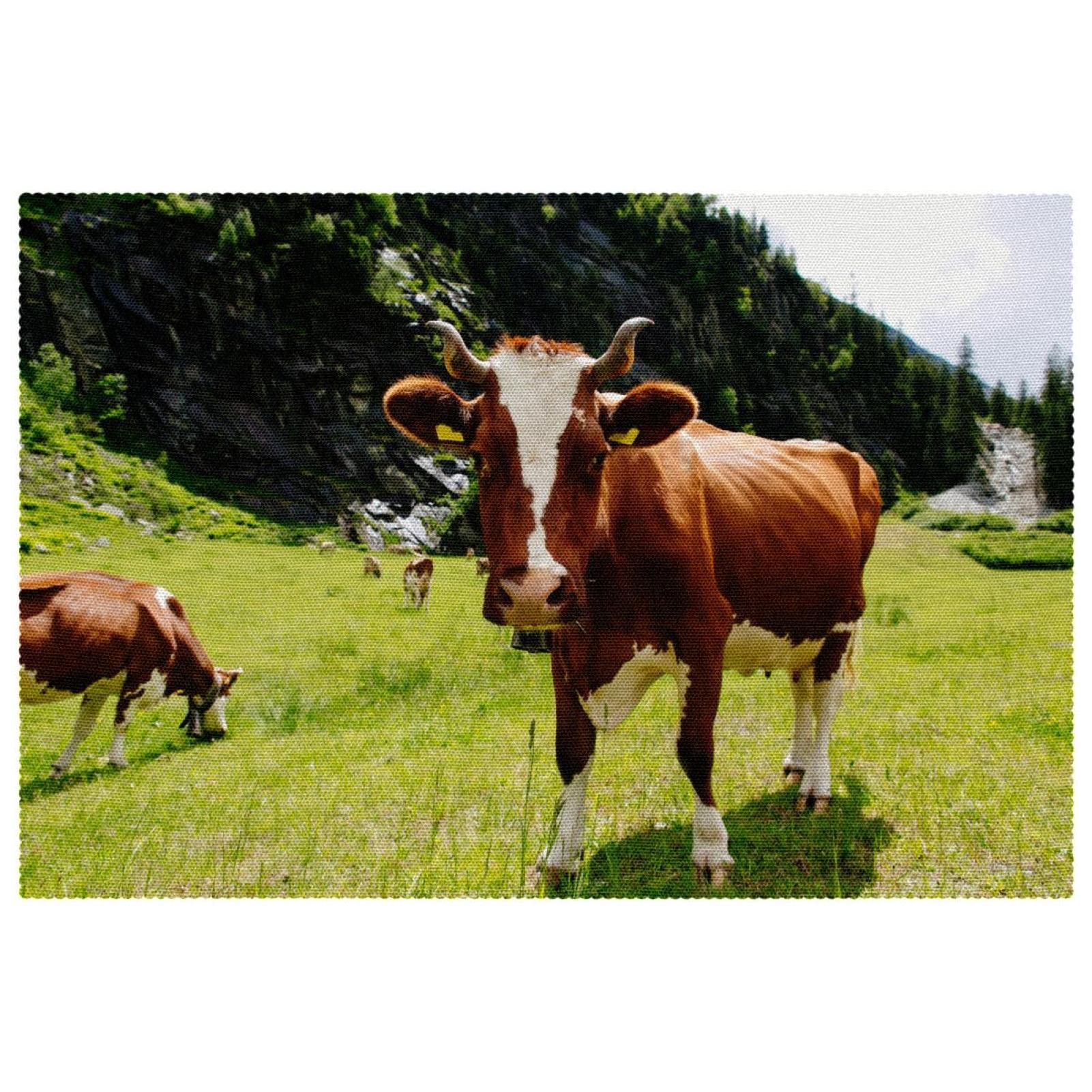Set de table vache lot de 6 pièces antidérapants et résistants à la chaleur 30x45 cm
