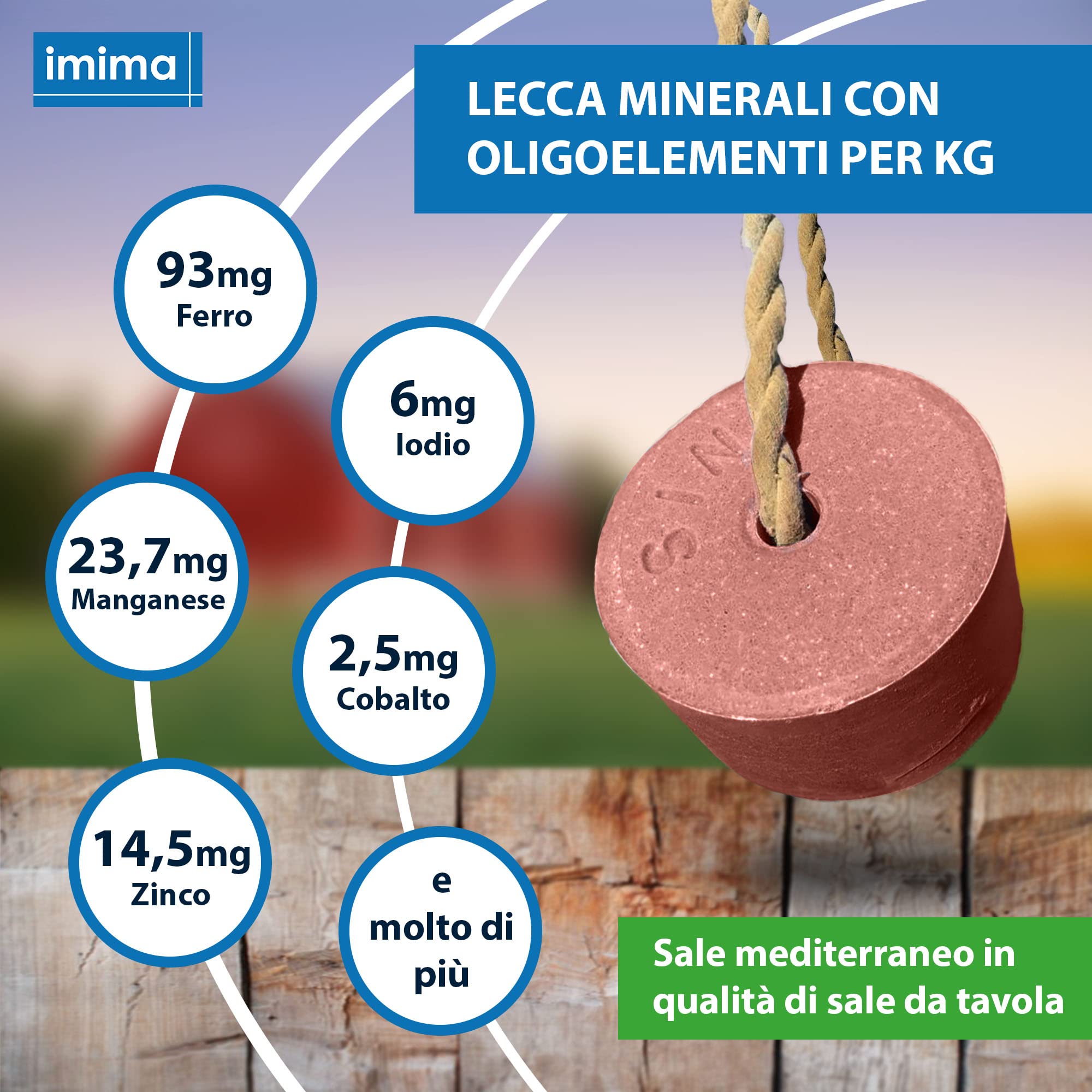 Mineral Lick Horse PREMIUMBLOCK Set di pietre saline 4 x 3 kg - Pietre saline per cavalli, pecore, capre, selvaggina e bovini - Pietra minerale per leccare il sale