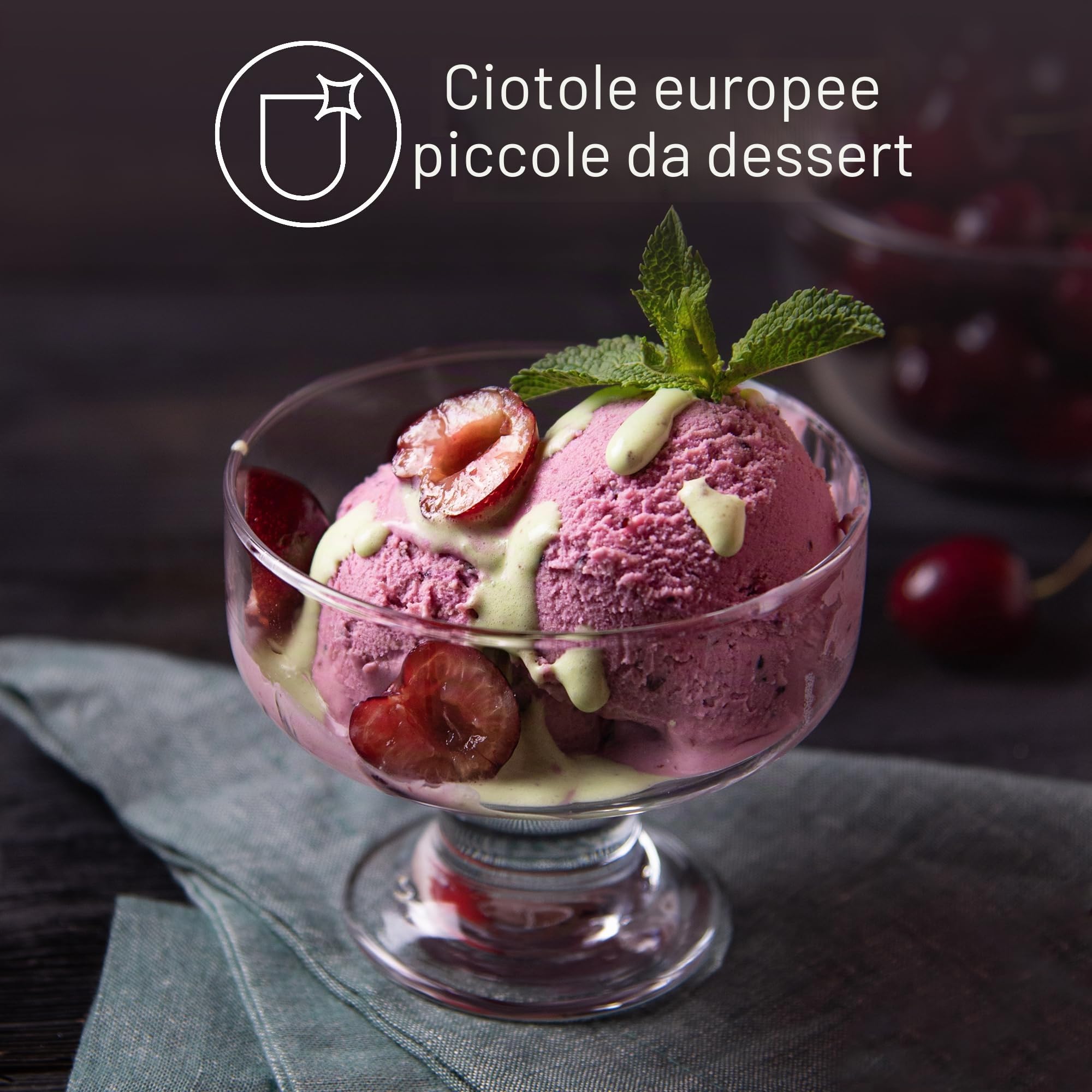 CRYSTALIA Premium Coppette Gelato Vetro 265ml Set 4 Coppa Dessert Vetro, Ciotele per Budini e Snack