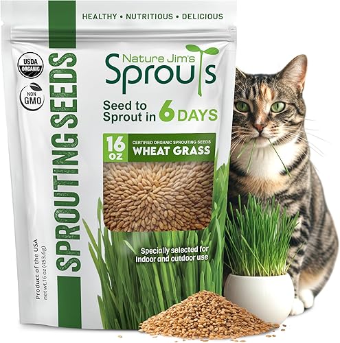 Nature Jims Sprouts Semillas de pasto de trigo – Semillas orgánicas sin GMO para plantar, kit de plantador de hierba gatera y germinación – Bolsa