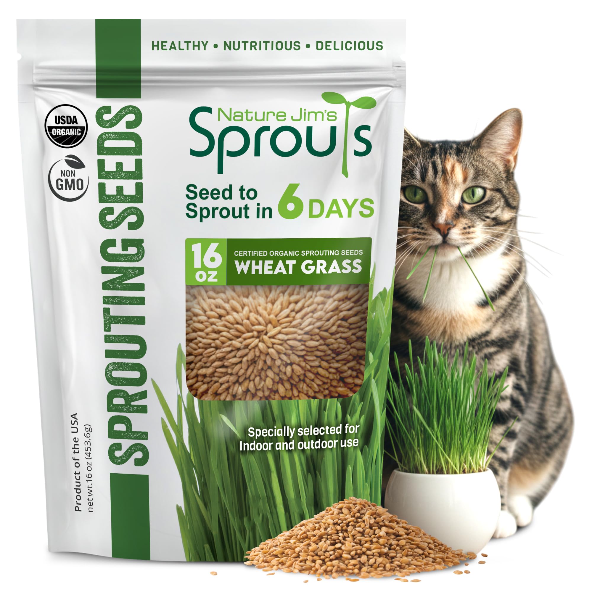 Nature Jims Sprouts Wheat Grass Seeds – Non-GMO Organic Seeds for Planting, Cat Grass Kit Planter & Sprouting –Resealable Bag for Fresh Wheatgrass Sprouts – Packed with Vitamins, Fiber & Minerals–16oz