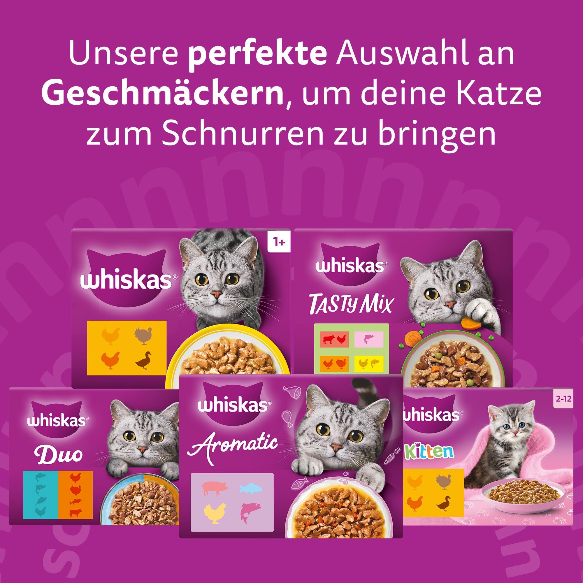 WHISKAS Nassfutter in Gelee für Katzen 84 x 85g Geflügel Auswahl