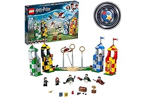 Young Wizard's Quidditch Soar and Score