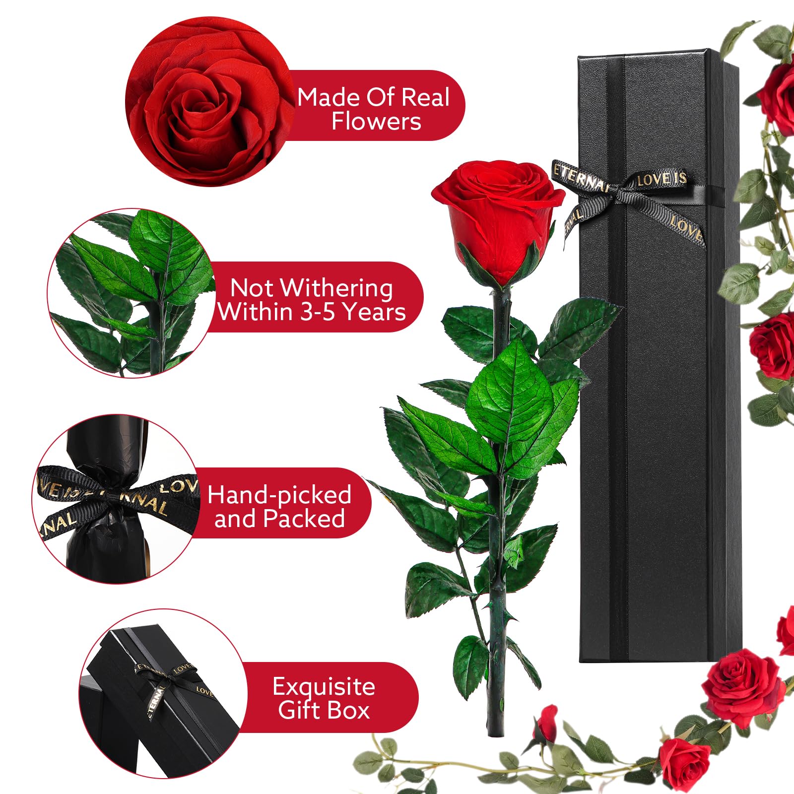 Touloube Rosa Stabilizzata Vera Eterna Rosso Fiori Regalo di San Valentino per Donna, Idee Regalo Donna Compleanno Anniversario Per Lei, Regali Mamma Fidanzata Moglie Sorella, Ti Amoregali