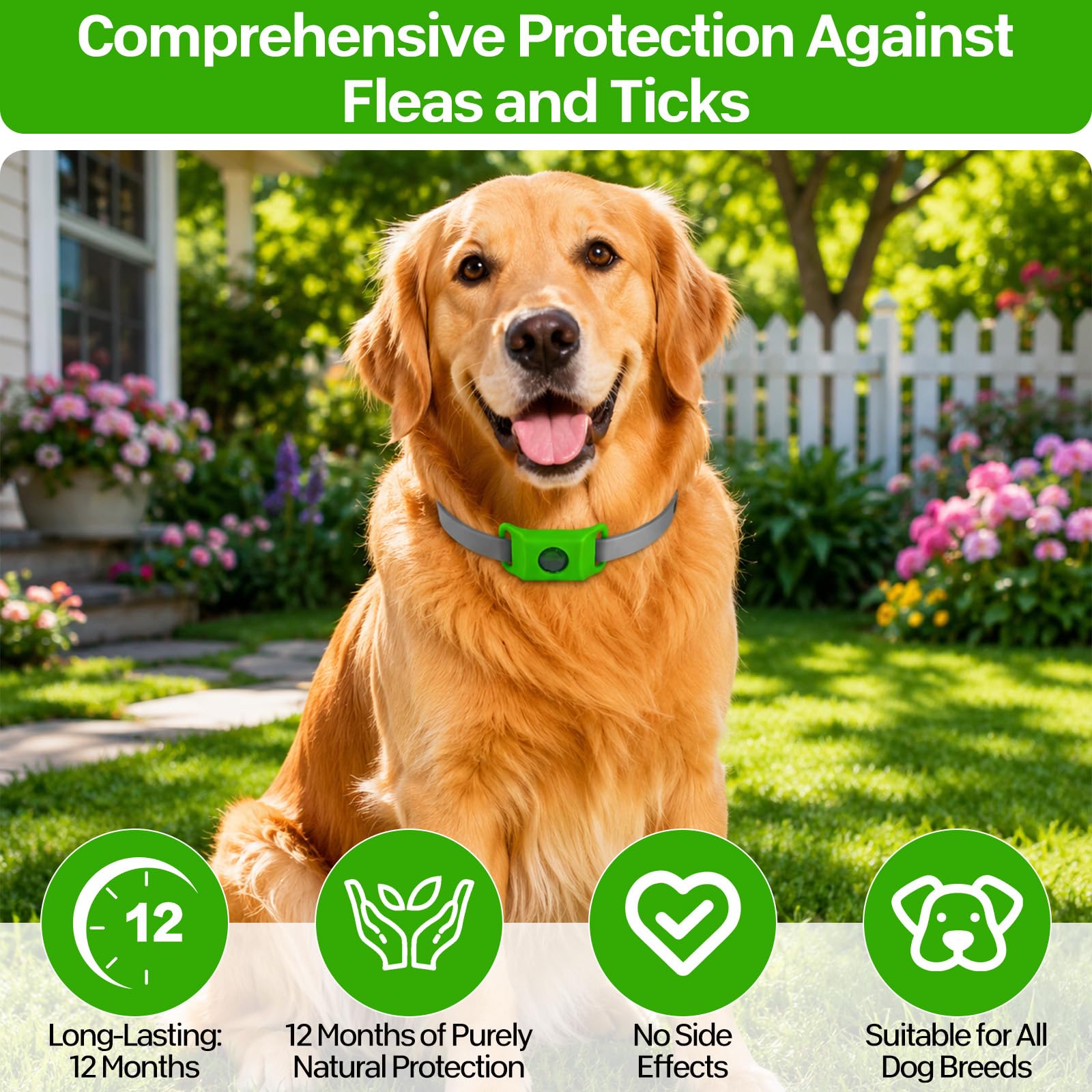 ZVD Pets Collier Anti Puce et Tique Naturel pour Chien, Répulsif aux Huiles Essentielles avec 2 Capsules Remplaçables, Collier Réglable sans Contact Direct Peau, Compatible AirTag (Noir)