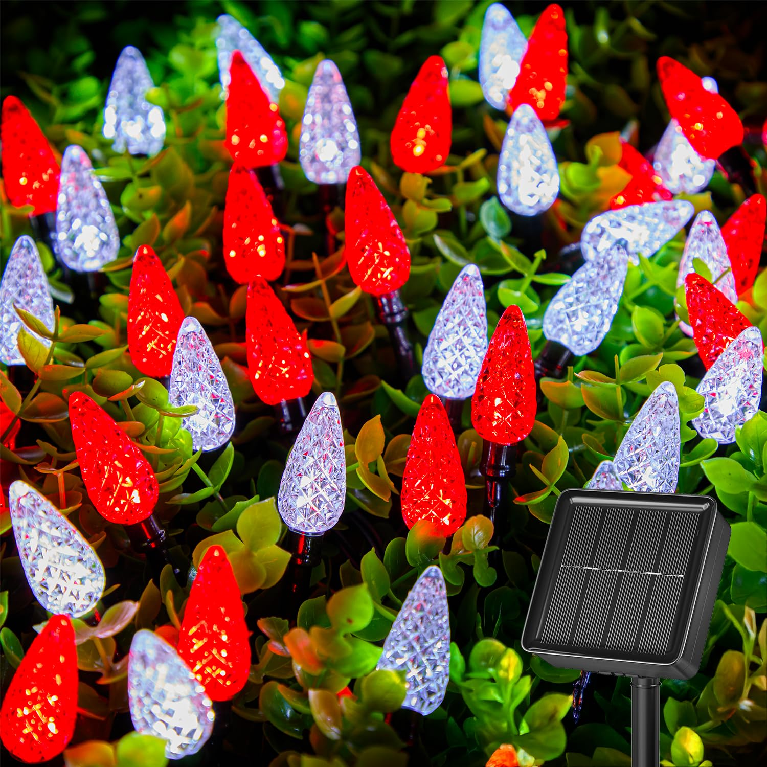 Brightown Solar Operated C6 Strawberry String Lights, 22.64ft 50 LEDs Red White LED Christmas Fairy Lights, Solar Christmas Lights Outdoor, Christmas Decorations for Christmas Tree, Garden DecorClimatePartner certified