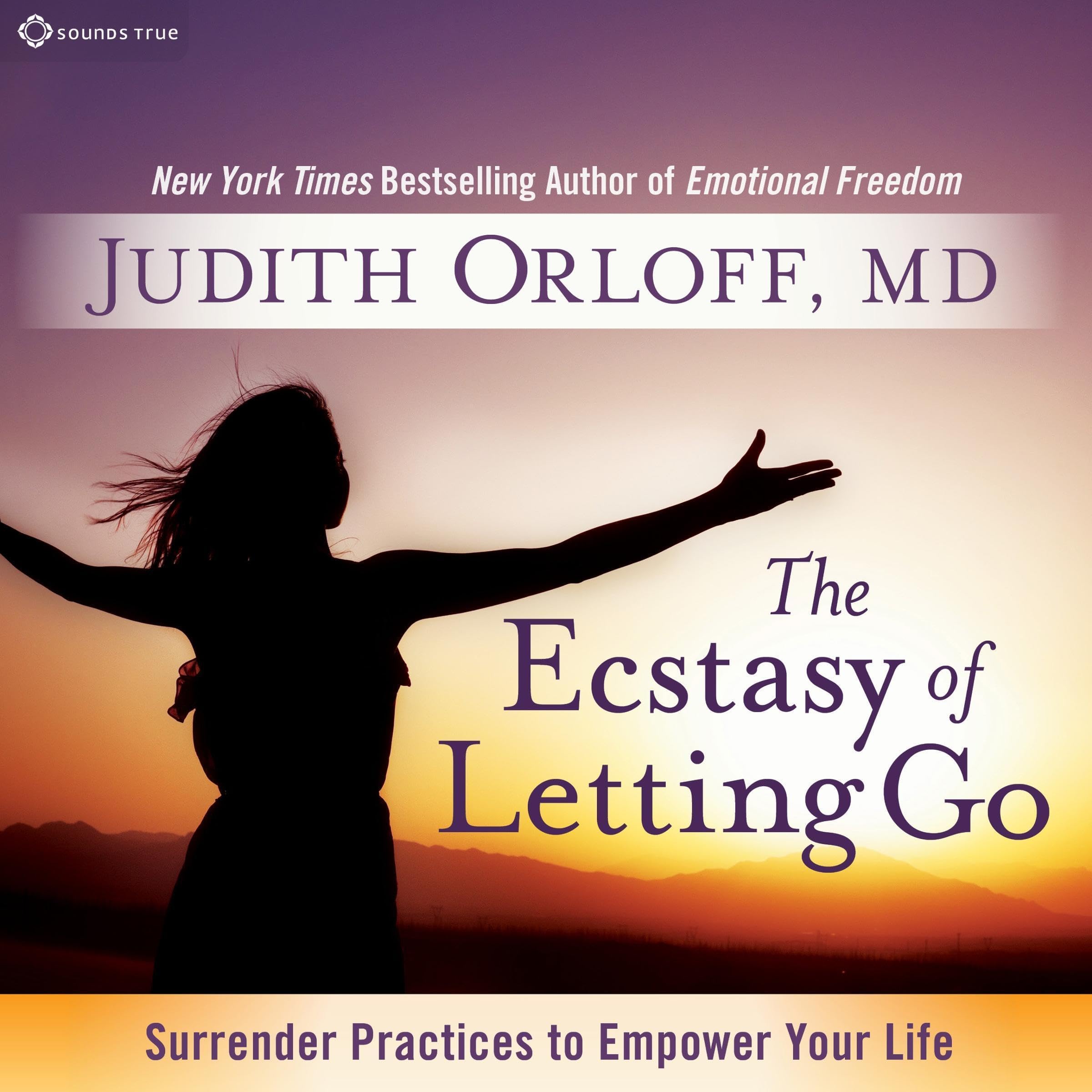 Cover art for The Ecstasy of Letting Go