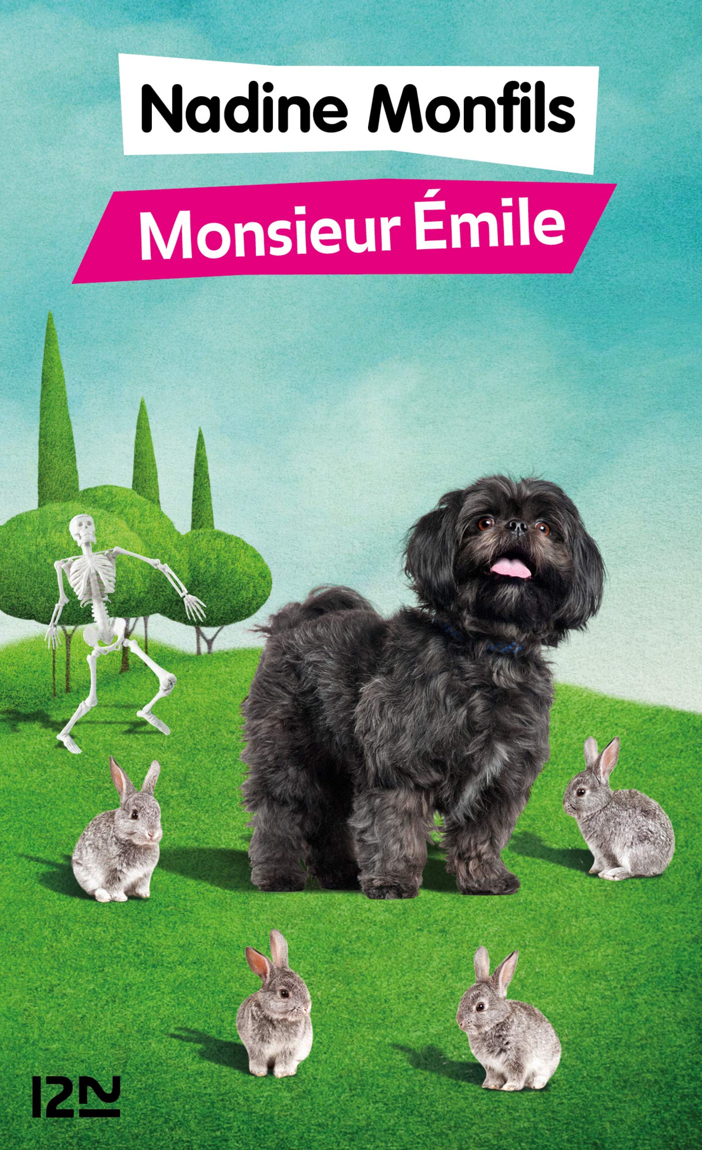 Monsieur Emile (French Edition)