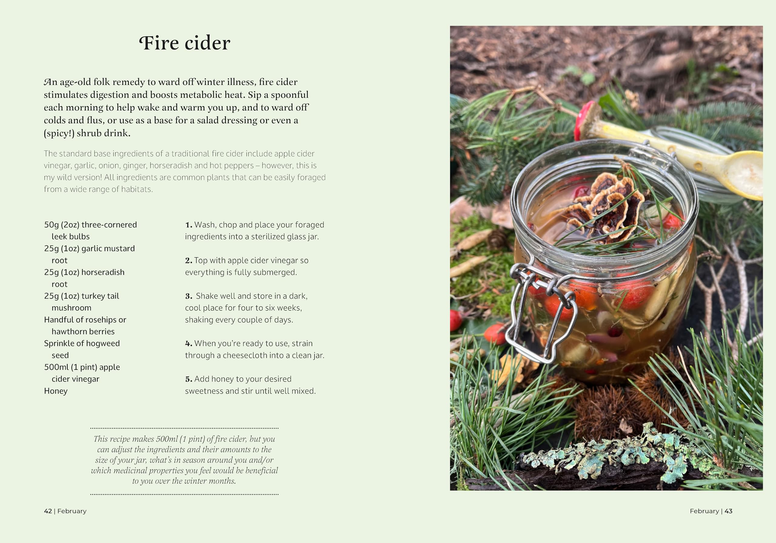 The Forager's Almanac: A year of sustainable foraging, wildcraft and recipes