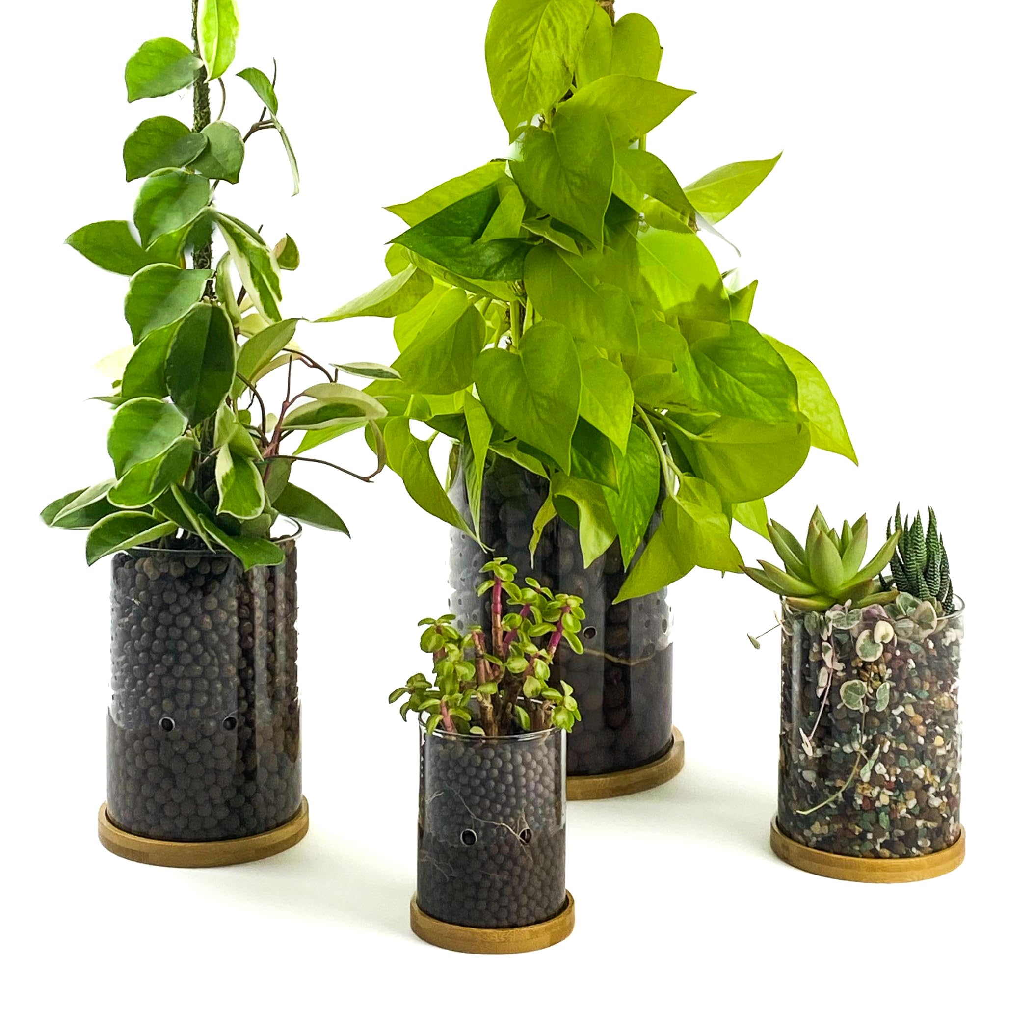 succulent plant Gift Small Ceramic Succulent Pot with Drainage and Bamboo Tray- With Cactus  or Succulent