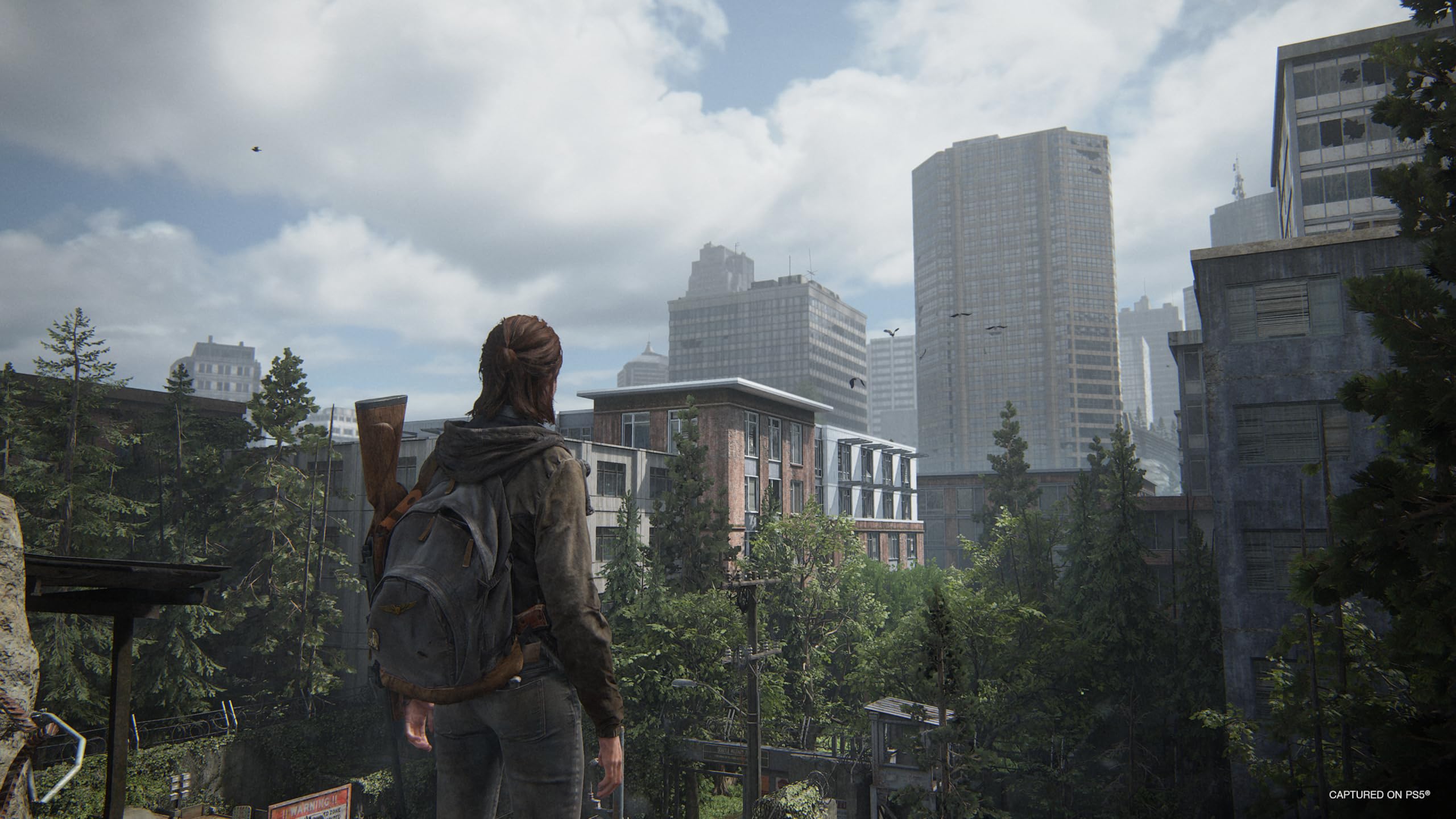 The Last of US Part II Remastered - 4