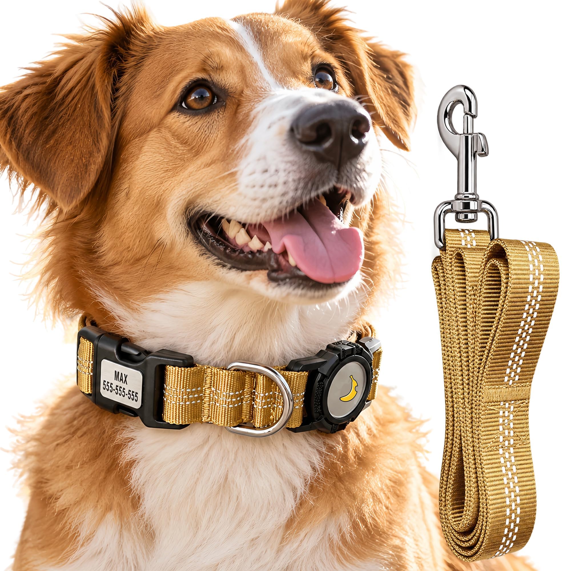 CEMULA Personalised Dog Collar & Lead Set Compatible with Apple AirTag — image 1