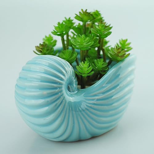 Miniatura 2 de VanEnjoy Maceta de cerámica para suculentas de 5 pulgadas, bonita serie de conchas azul océano, maceta de cactus en forma de caracola, maceta de