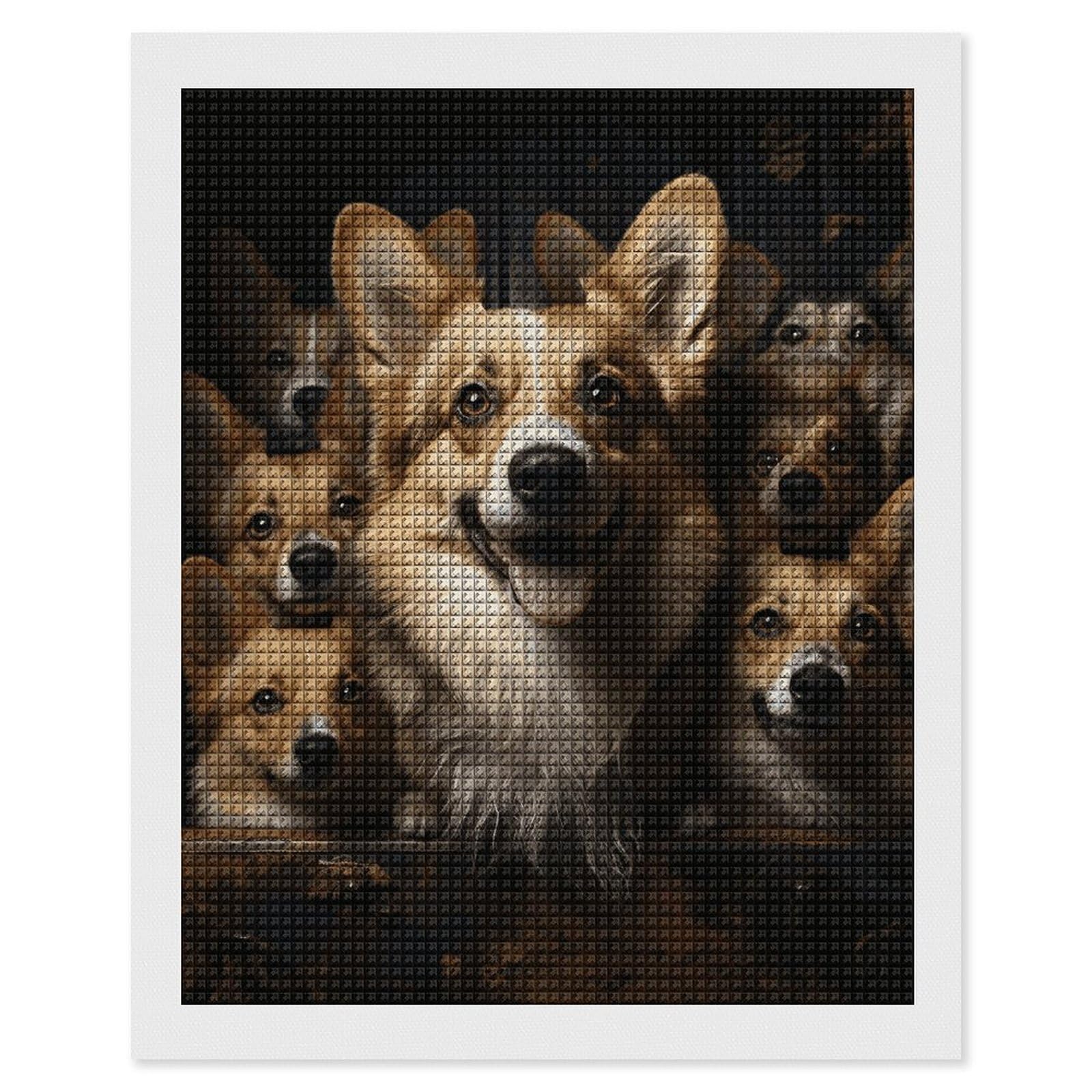 Corgi Pictures Diamond Art Kits for Adults, DIY 5D Diamonds Painting Kits for Beginner, Round Full Drill Diamond Dots Painting, 16"x20" Diamonds Pictures Gem Art and Crafts Wall Decor
