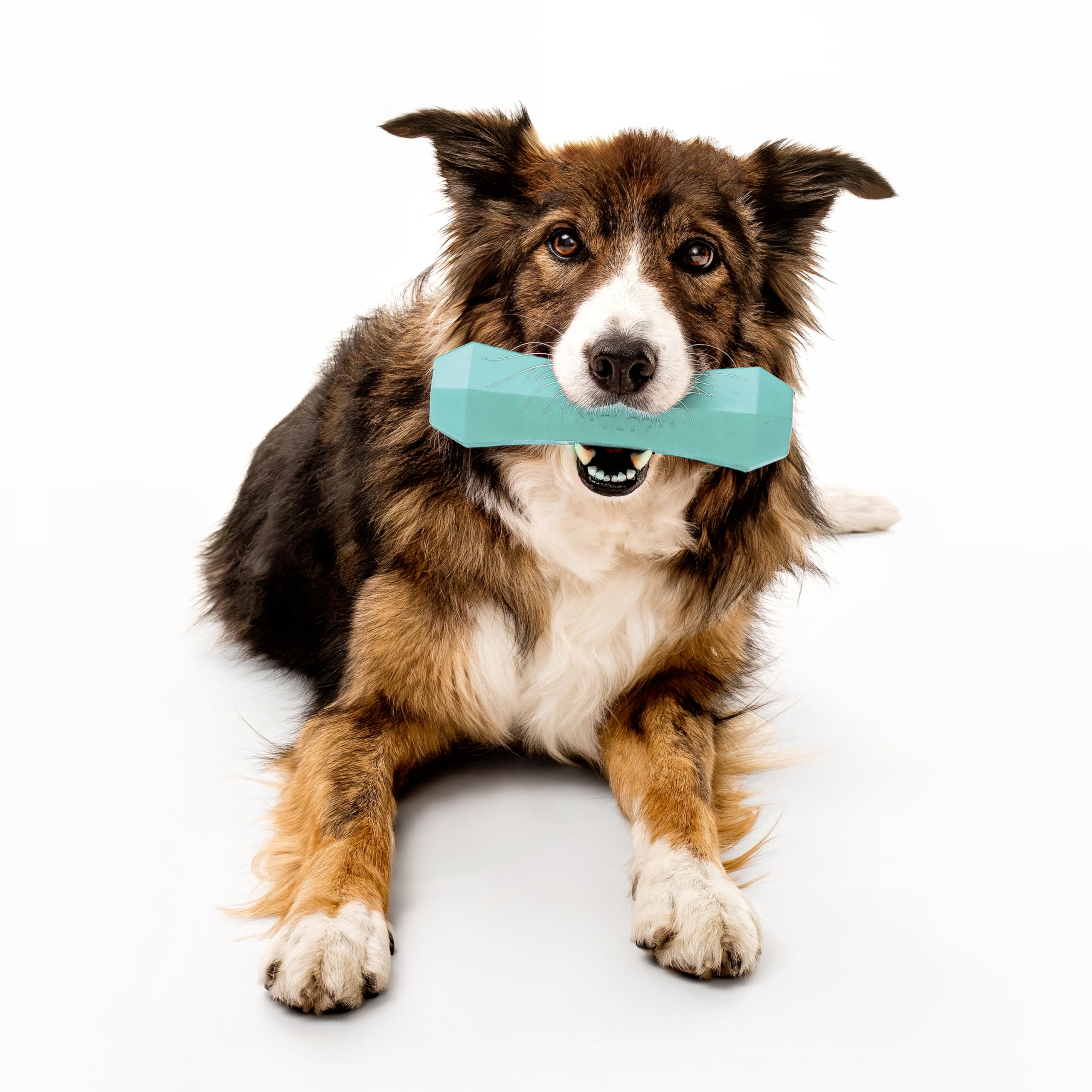 Playology Giocattoli per cani Bastoncino da masticare resistente e che squittisce per cani | Giocattolo gigante profumato al burro di arachidi - Facile da pulire e realizzato con materiali atossici
