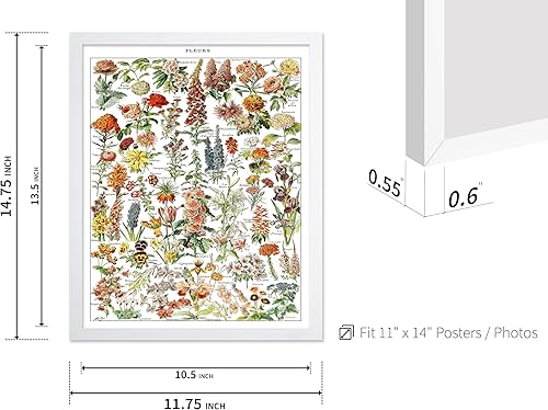 Miniatura 220 de Poster Master Póster vintage de orquídea, estampado de flores retro, arte de pared de plantas exóticas, arte botánico, regalo para hombres y