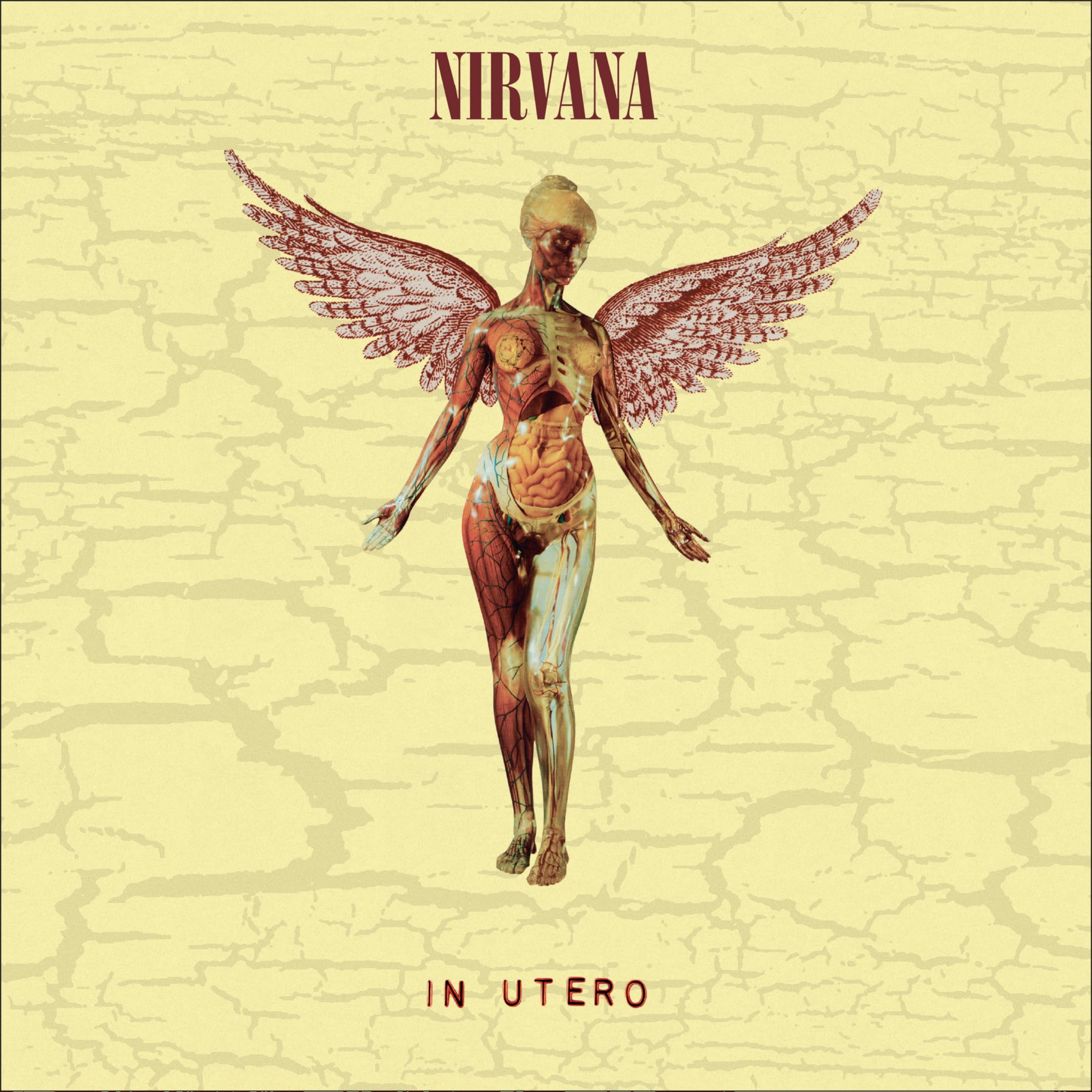 In Utero 30 Aniversario Edición Limitada)
