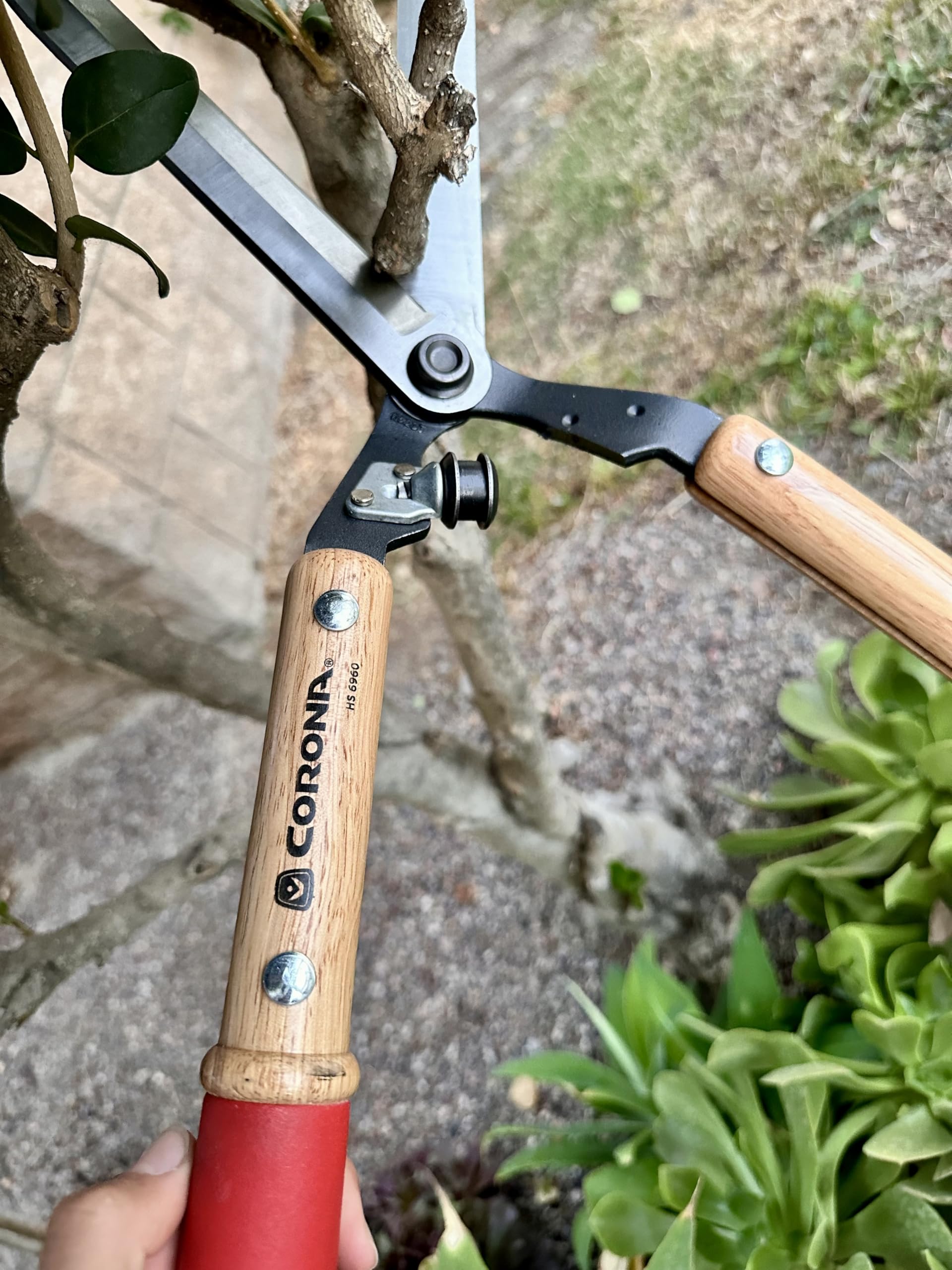 Corona – Tijeras cortasetos (10 ")