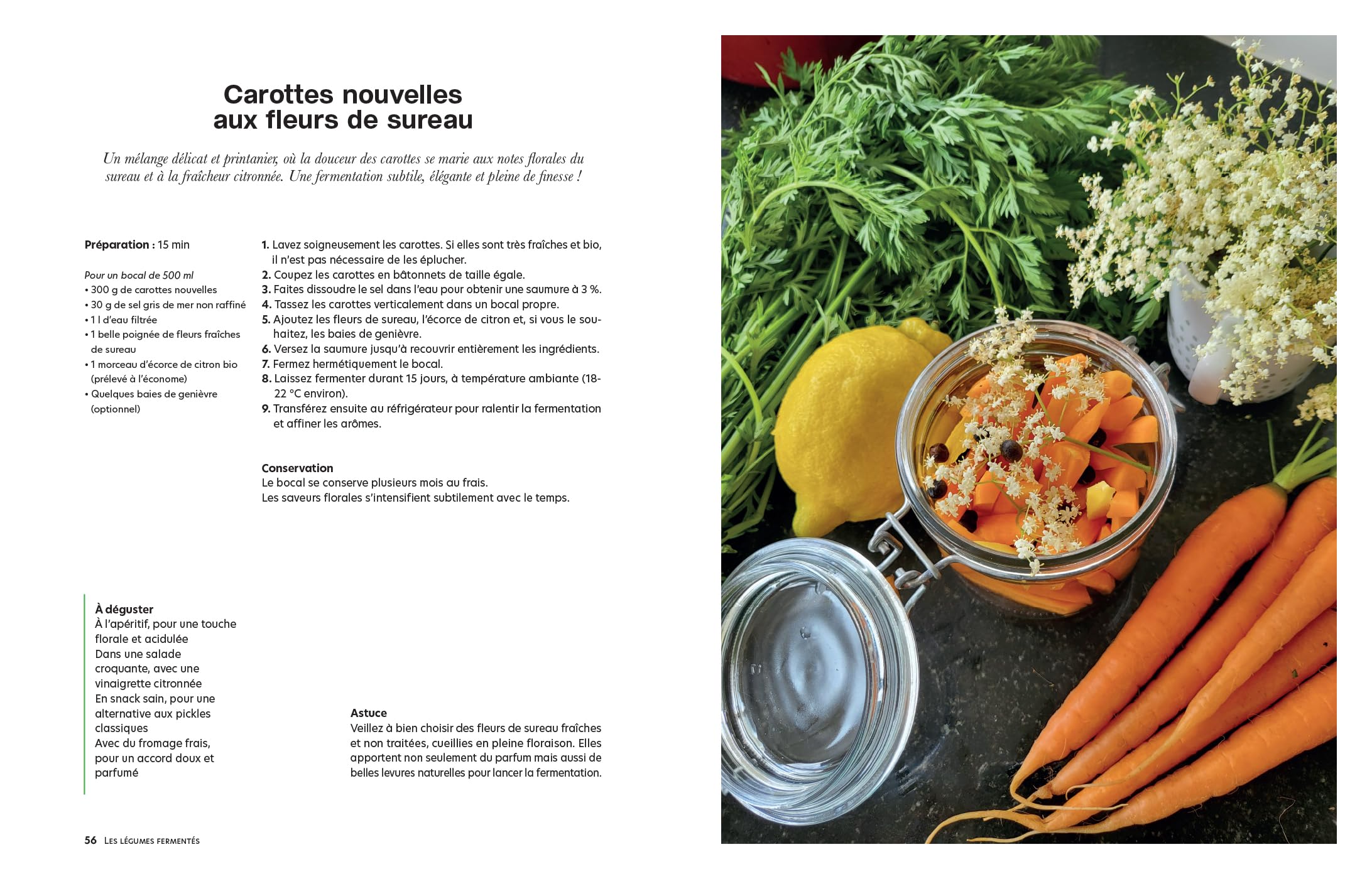Fermentation à la maison: Légumes, fruits, boissons et pains - 100 recettes pour choyer son microbiote