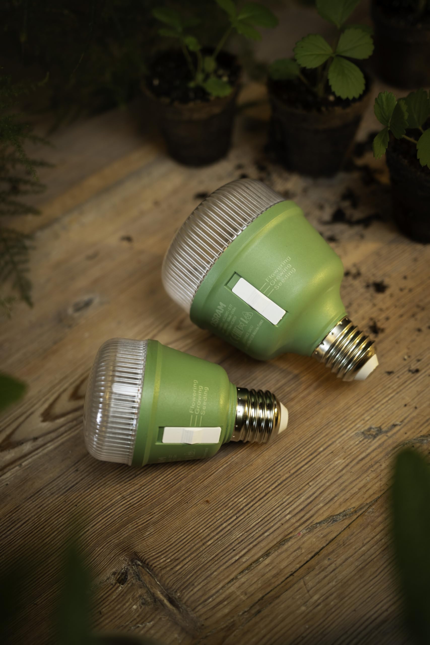 OSRAM LED STAR LÁMPARA DE CRECIMIENTO T 60 10 W 330 lm | LED Star Grow Lamp T 60, LED Lamps, verde, 60 mm dia, 25000 h, Paquete de 6