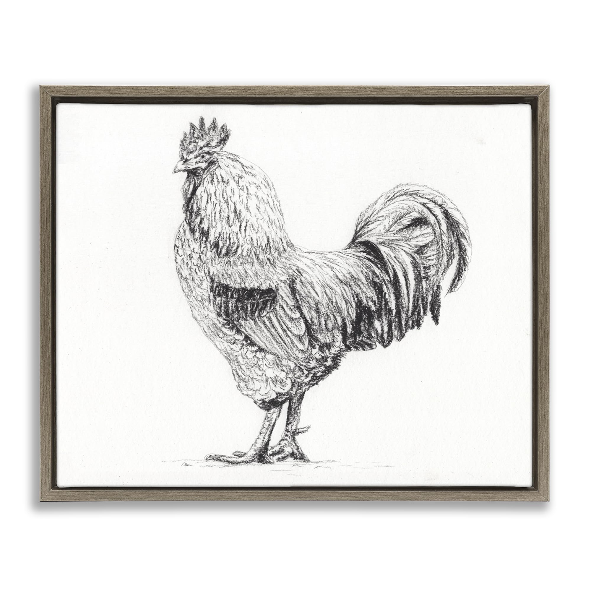 Stupell Industries 'Rooster in Charcoal', Floating Frame Canvas Art, Brown, 31 x 25 Inches, Easy to Hang and Sturdy, Made in USA, by Leah Noel Art
