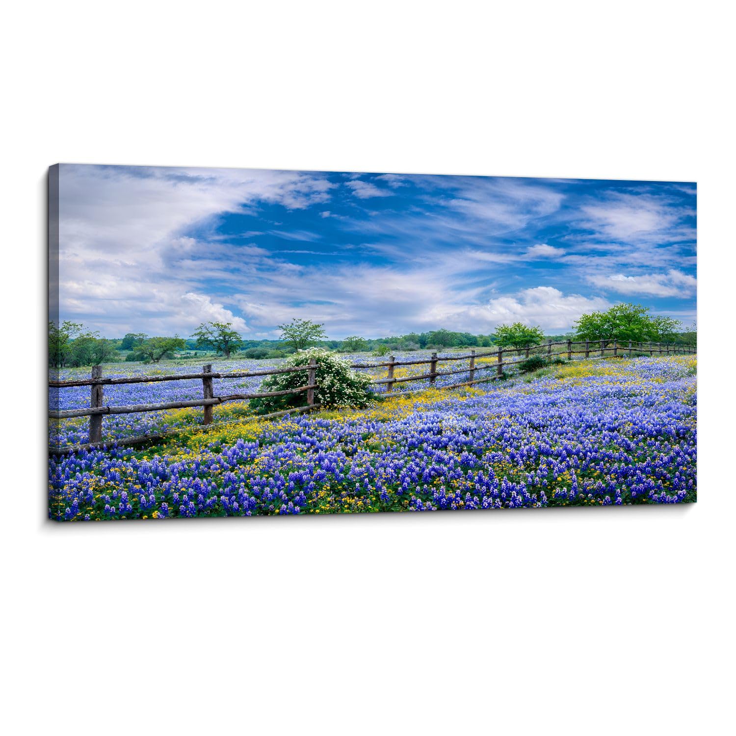Amazon.com: Large Framed Wall Art Ready to Hang 20
