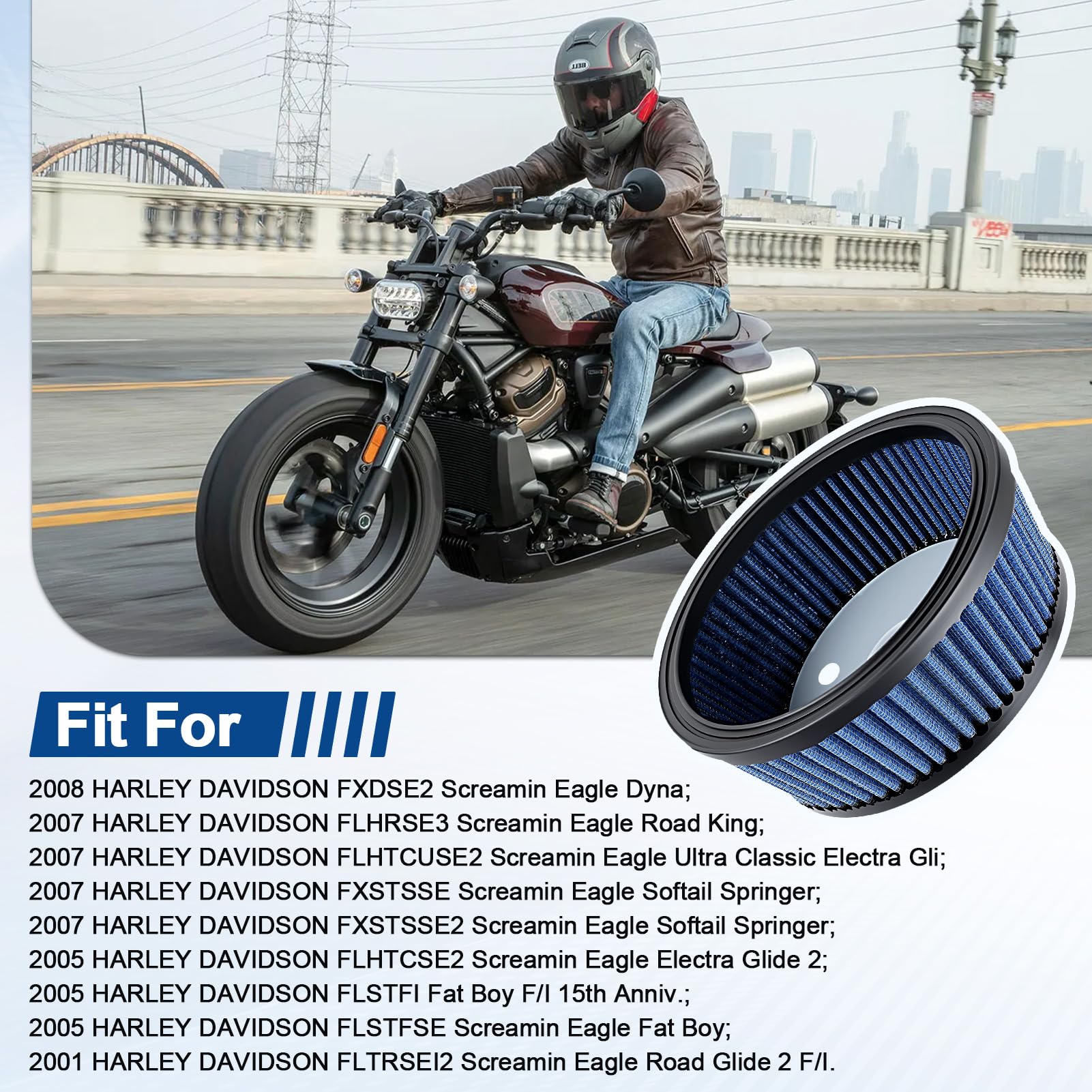 Amazon.com: HD-0800 29442-99e Air Filter for Harley Davidson Road