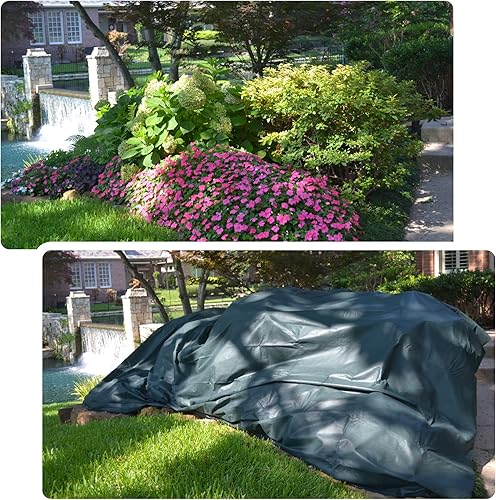Miniatura 2 de the Planket 11012 - Cubierta rectangular de protección contra heladas, 10 x 12 pies, color verde oscuro