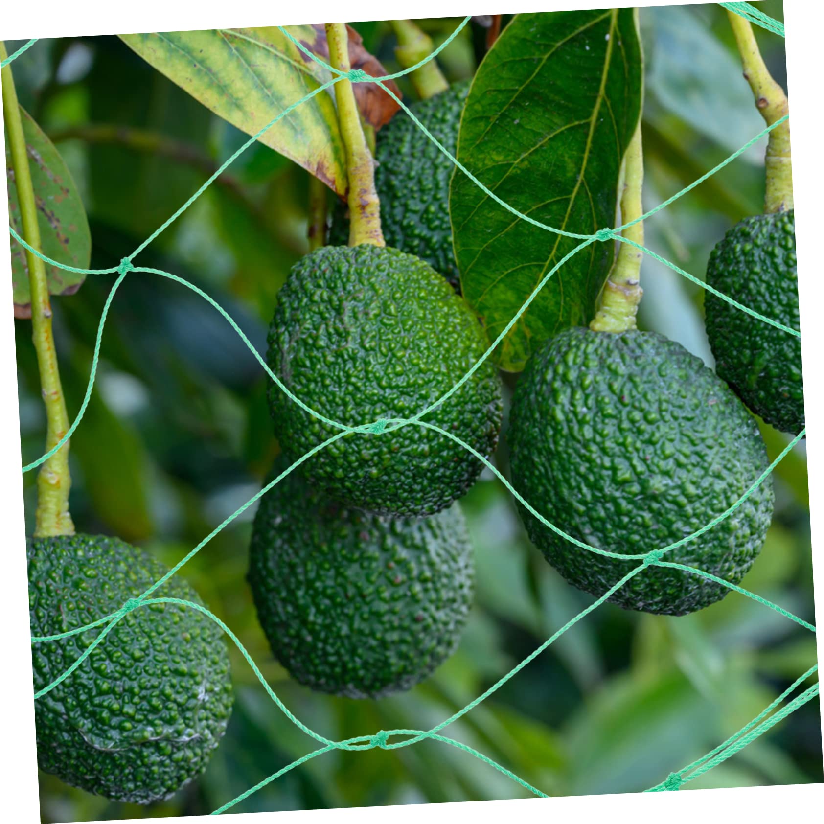 Gartennetz 3 Stück aus Nylon für Gurken und Kürbisranken